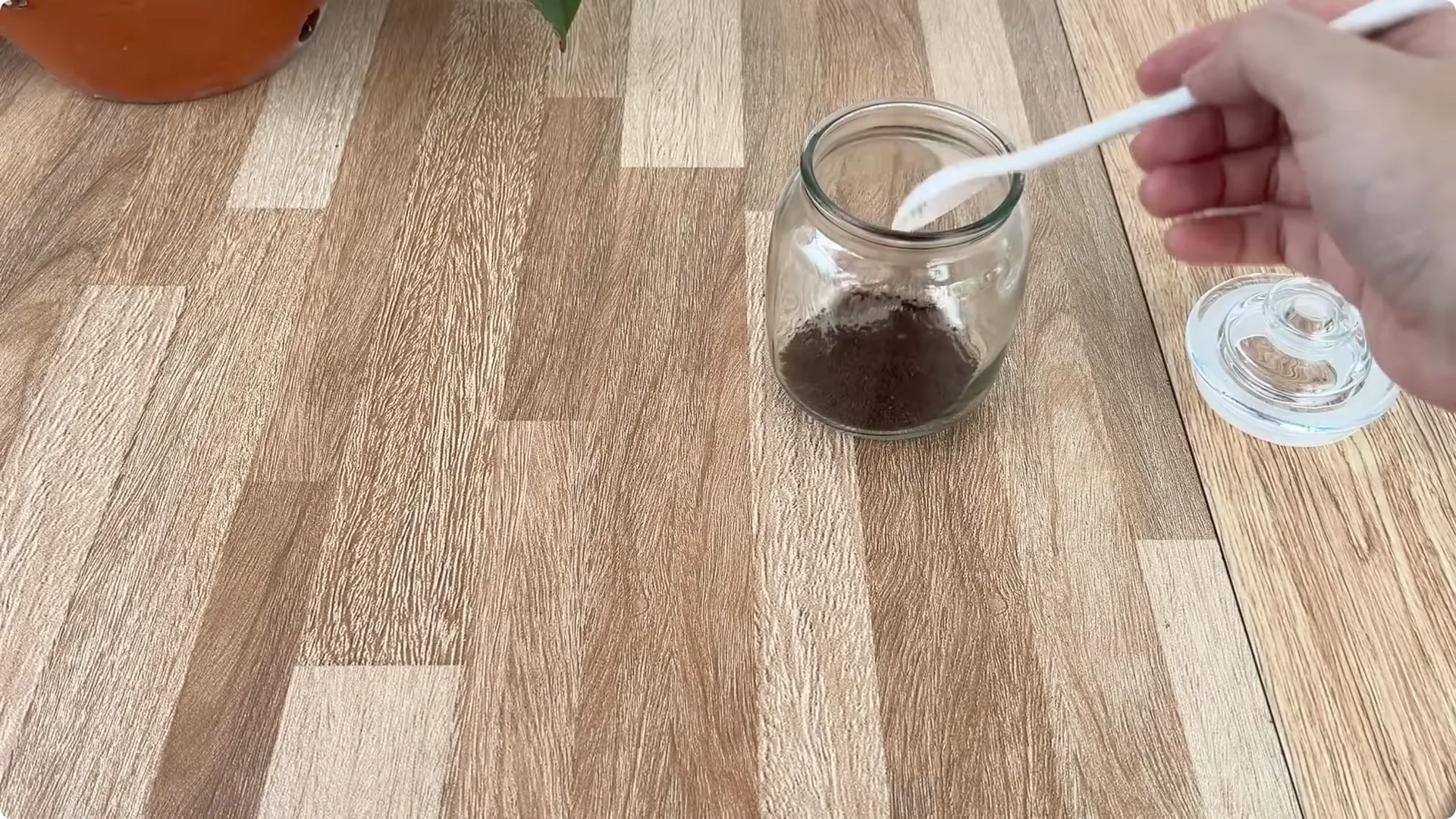 How Coffee Transforms Your Rose Plant’s Roots and Blooms screenshot 1