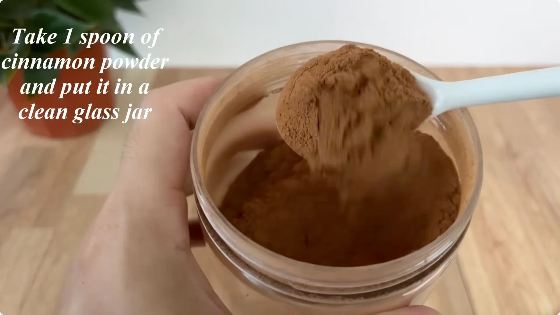 How Coffee Transforms Your Rose Plant’s Roots and Blooms screenshot 8