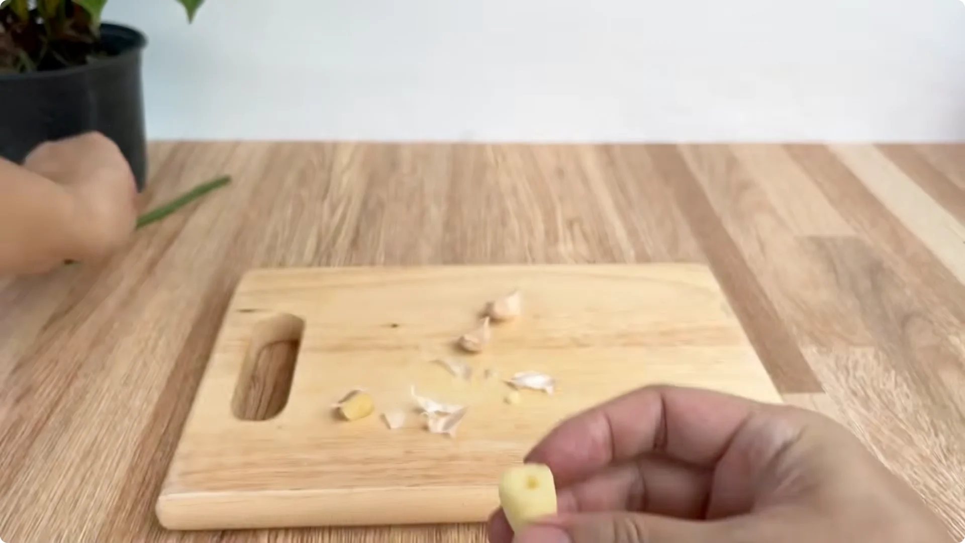 How Garlic Helps Rose Cuttings Root Fast: Simple Propagation Tips screenshot 2