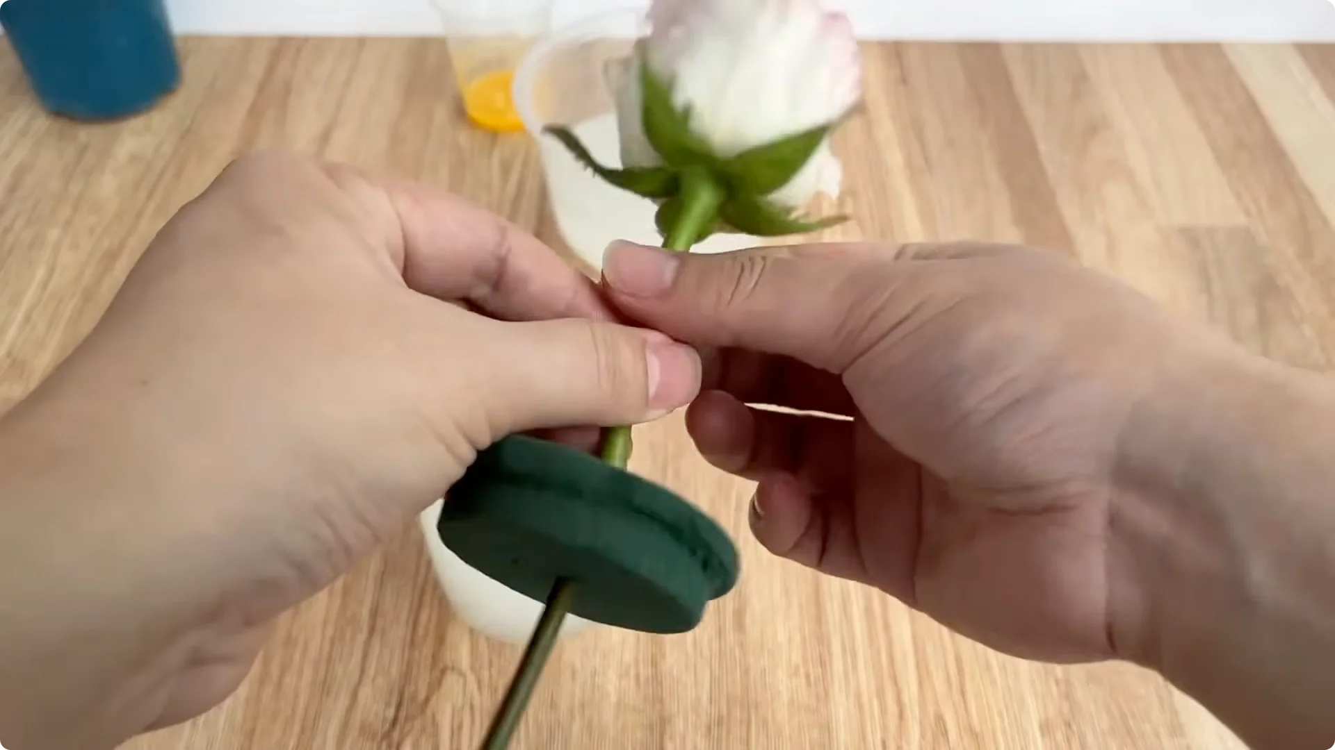 How One Egg Can Transform Your Rose Plant’s Roots and Blooms screenshot 6