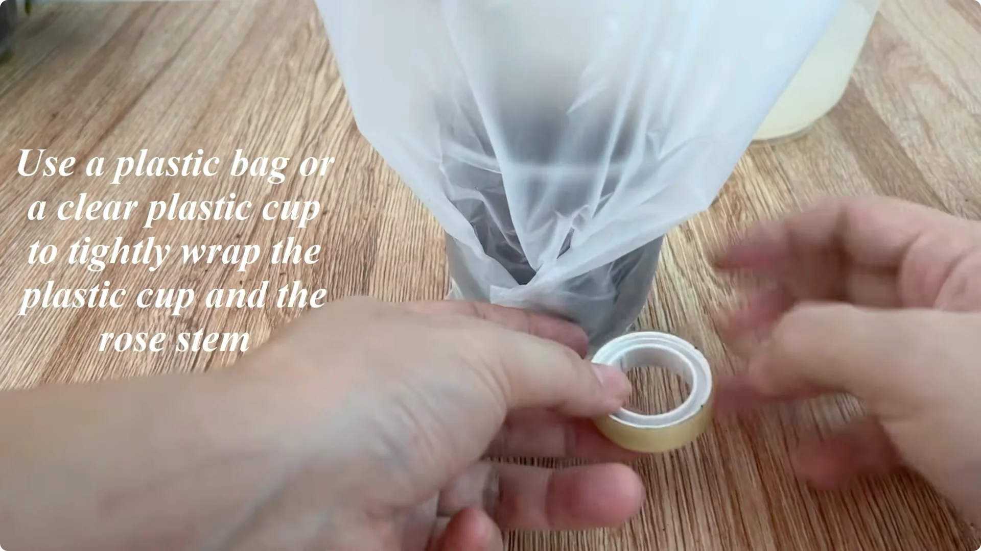 How One Egg Can Transform Your Rose Plant’s Roots and Blooms screenshot 9