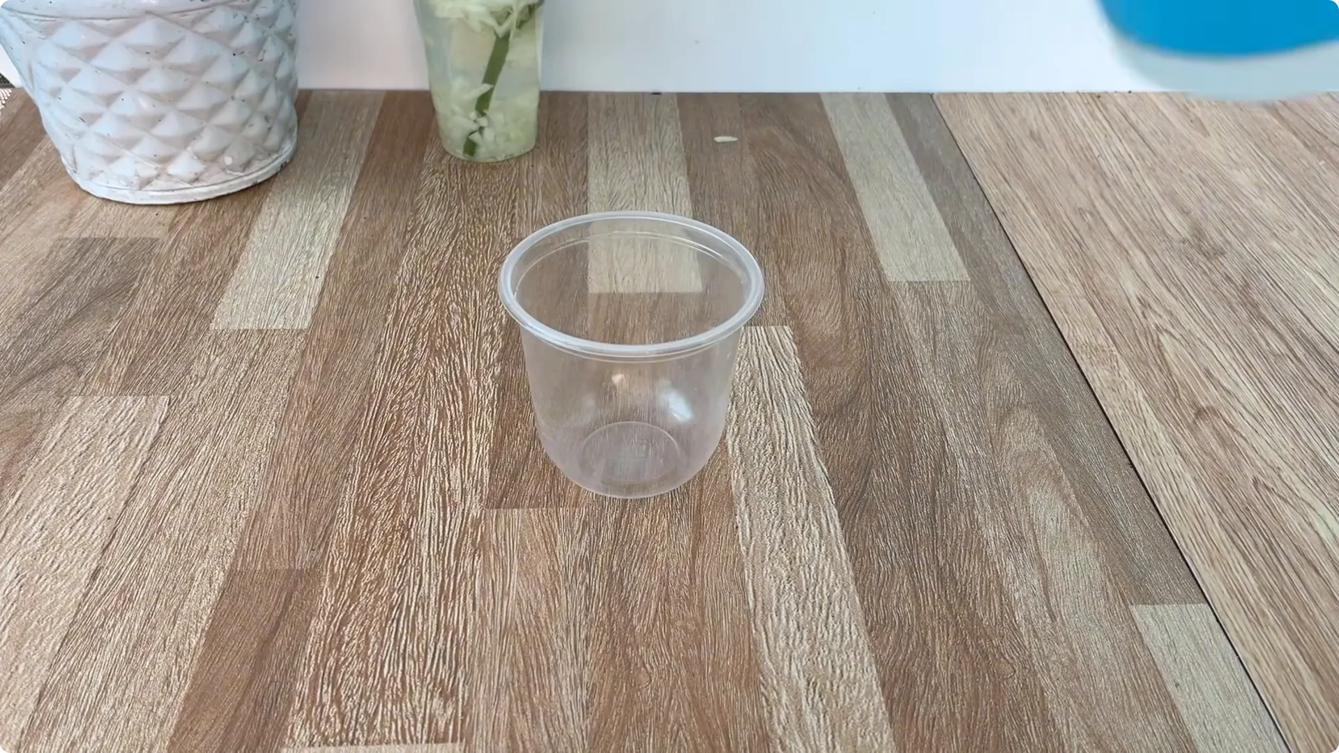 How Onions Help Roses Root Faster: A Simple Propagation Trick screenshot 5