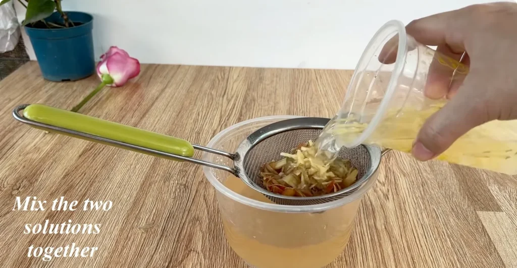 How Potato Peels Can Help Rose Stems Root Faster screenshot 6