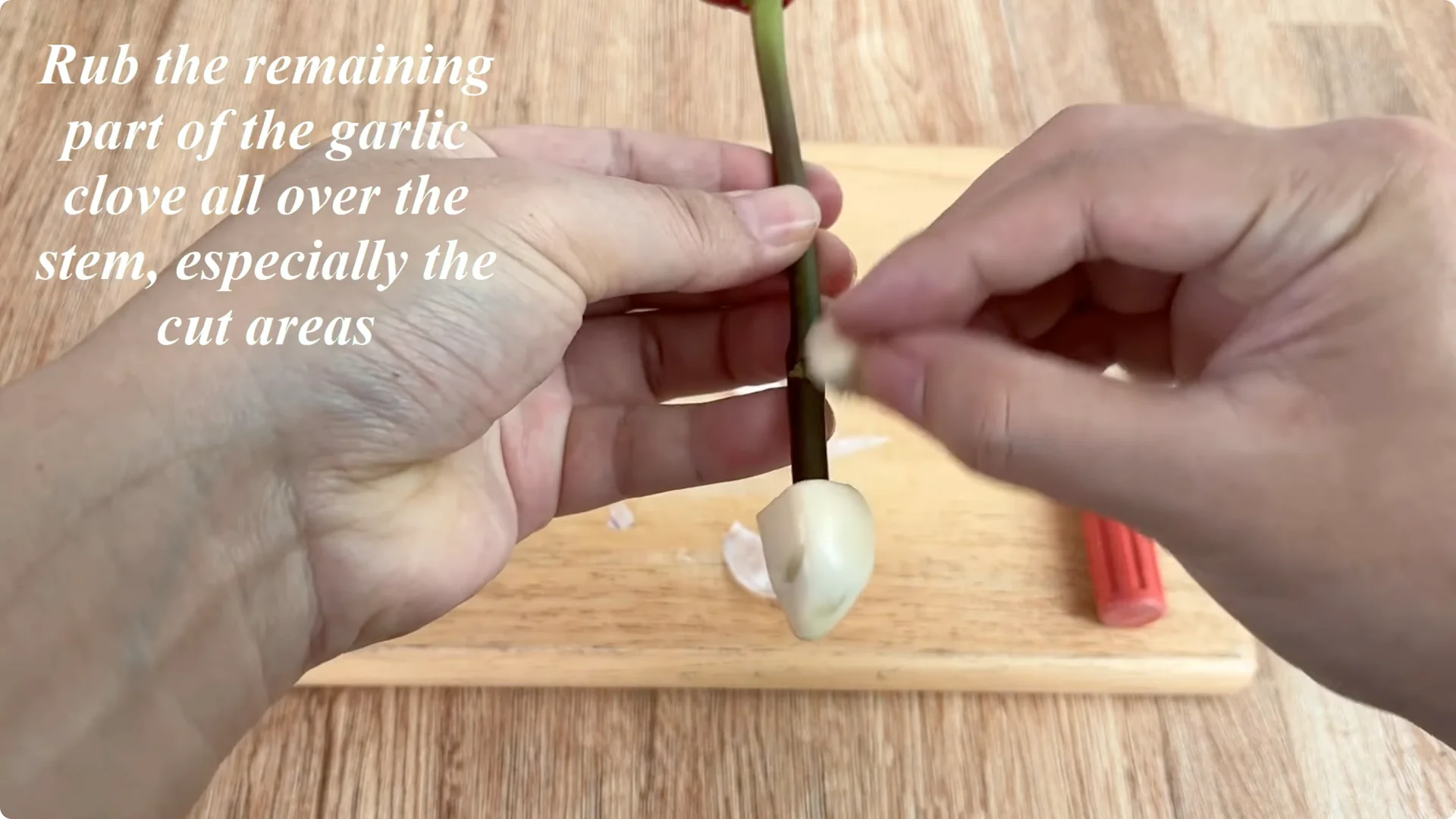 How to Easily Propagate Roses with This Simple Method screenshot 8