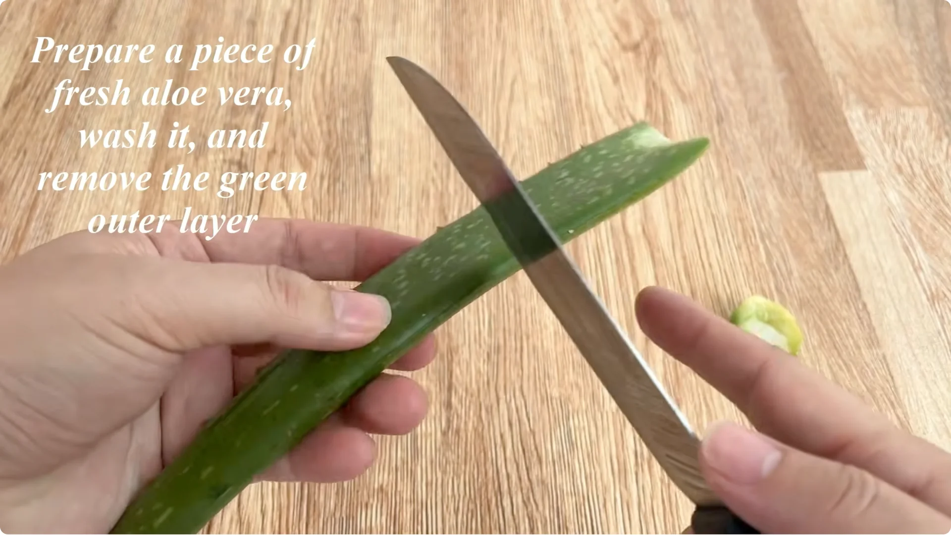 How to Make Rose Branches Root and Sprout Overnight screenshot 5