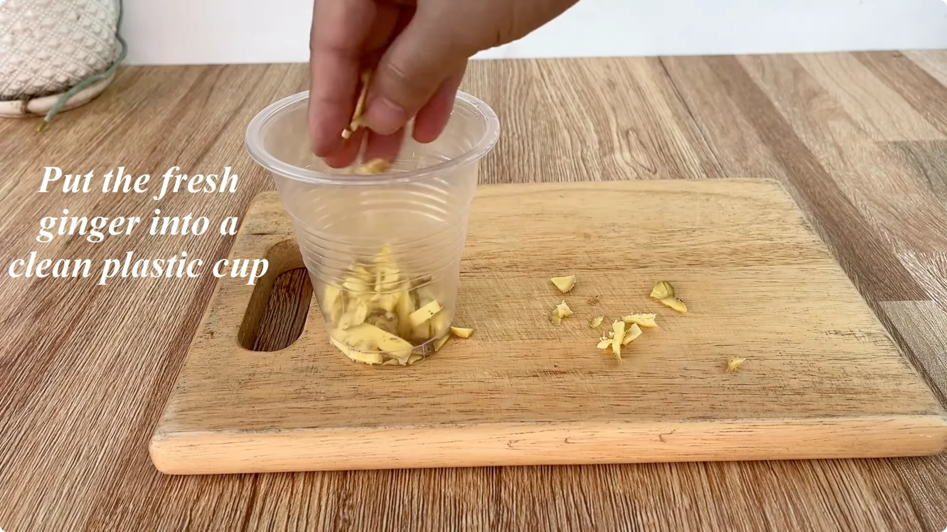 How to Quickly Root a Rose Branch for Fast Growth screenshot 1