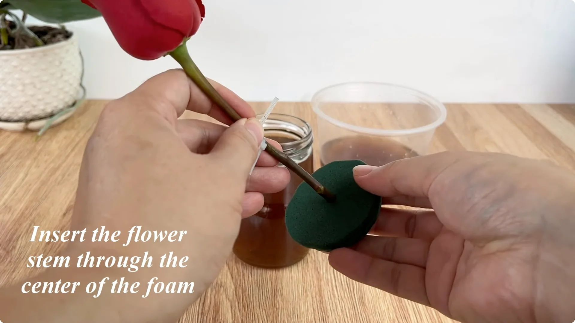 How to Quickly Root a Rose Branch for Fast Growth screenshot 4
