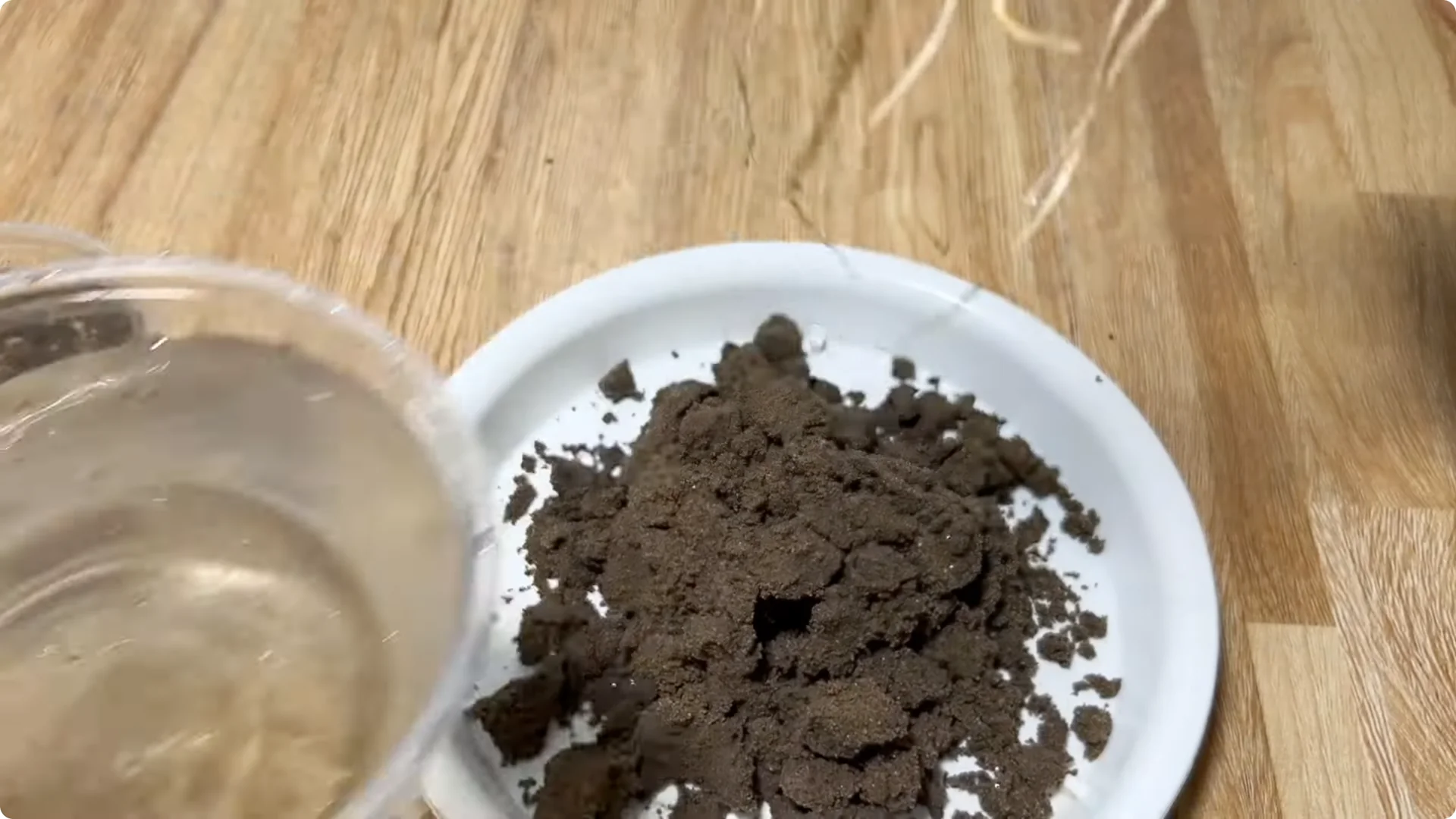 The Easy Trick to Make Rose Cuttings Root and Bloom Fast screenshot 13