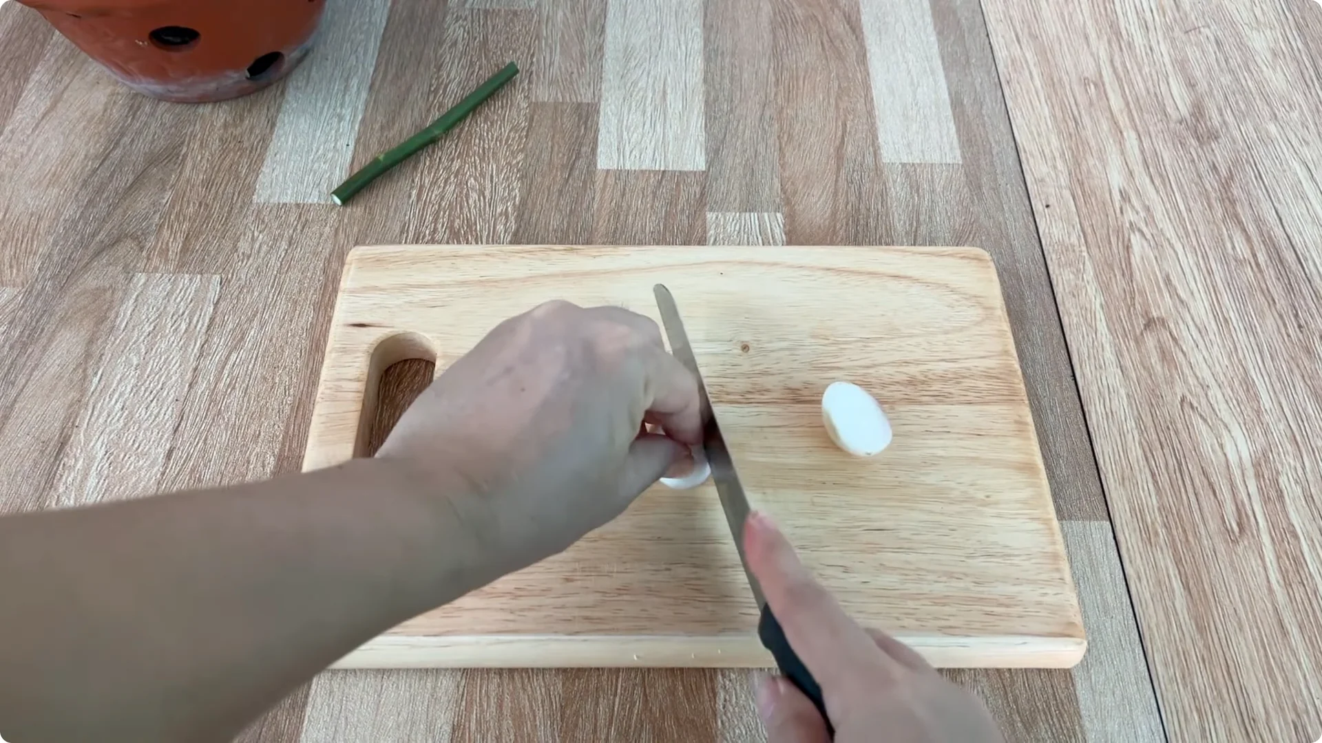 The Easy Trick to Make Rose Cuttings Root and Bloom Fast screenshot 5
