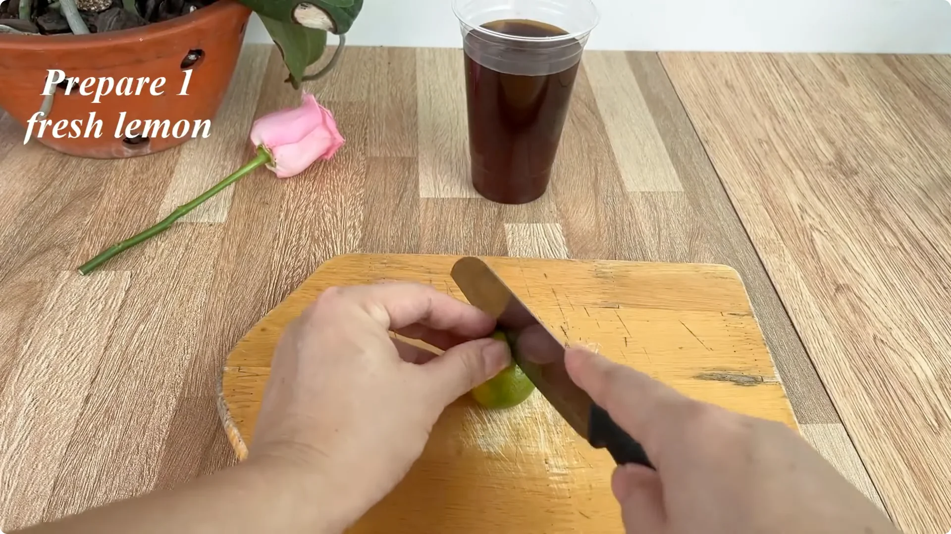 The Simple Method That Surprised Me When Propagating Roses screenshot 6