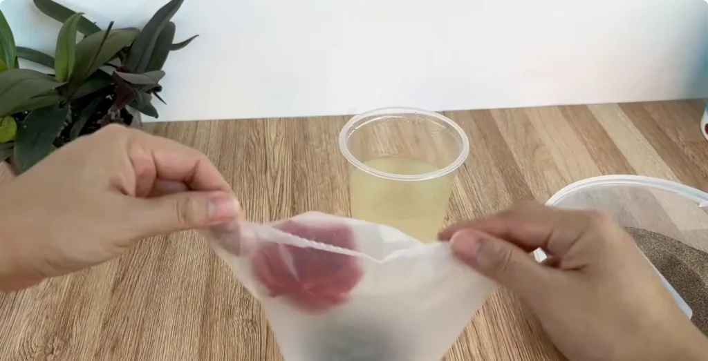 The Simple Rose Propagation Trick Few Gardeners Use screenshot 23