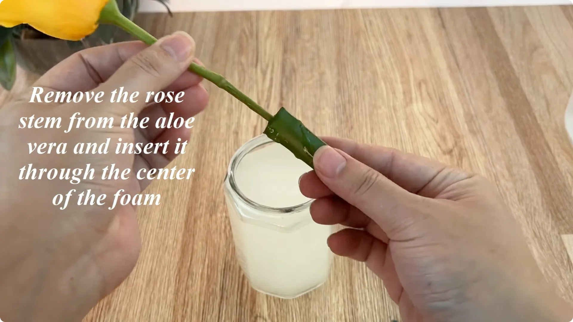 The Surprising Aloe Vera Trick Most Rose Growers Miss screenshot 4