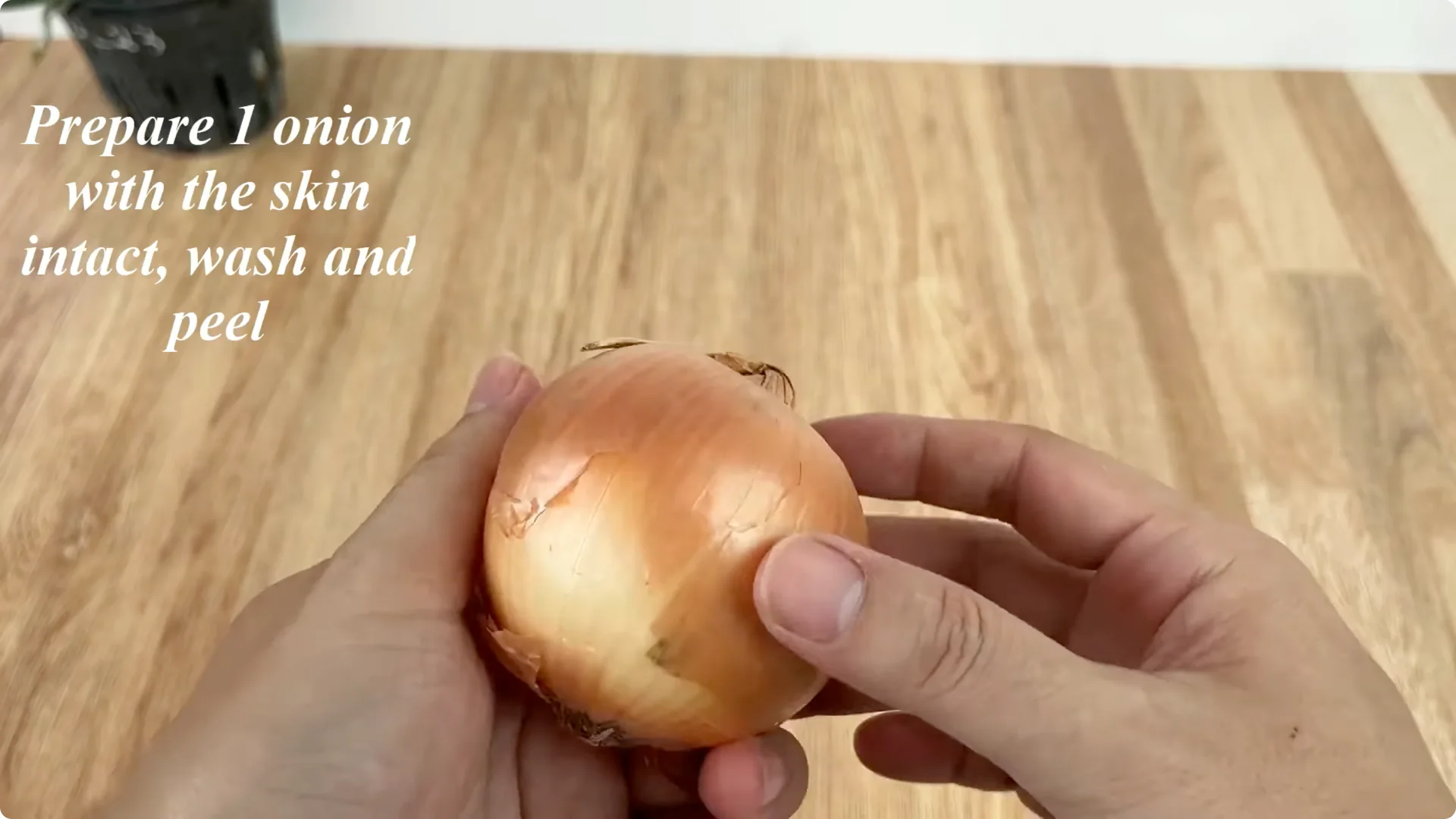 Discover How Easy Rose Propagation Can Really Be screenshot 1