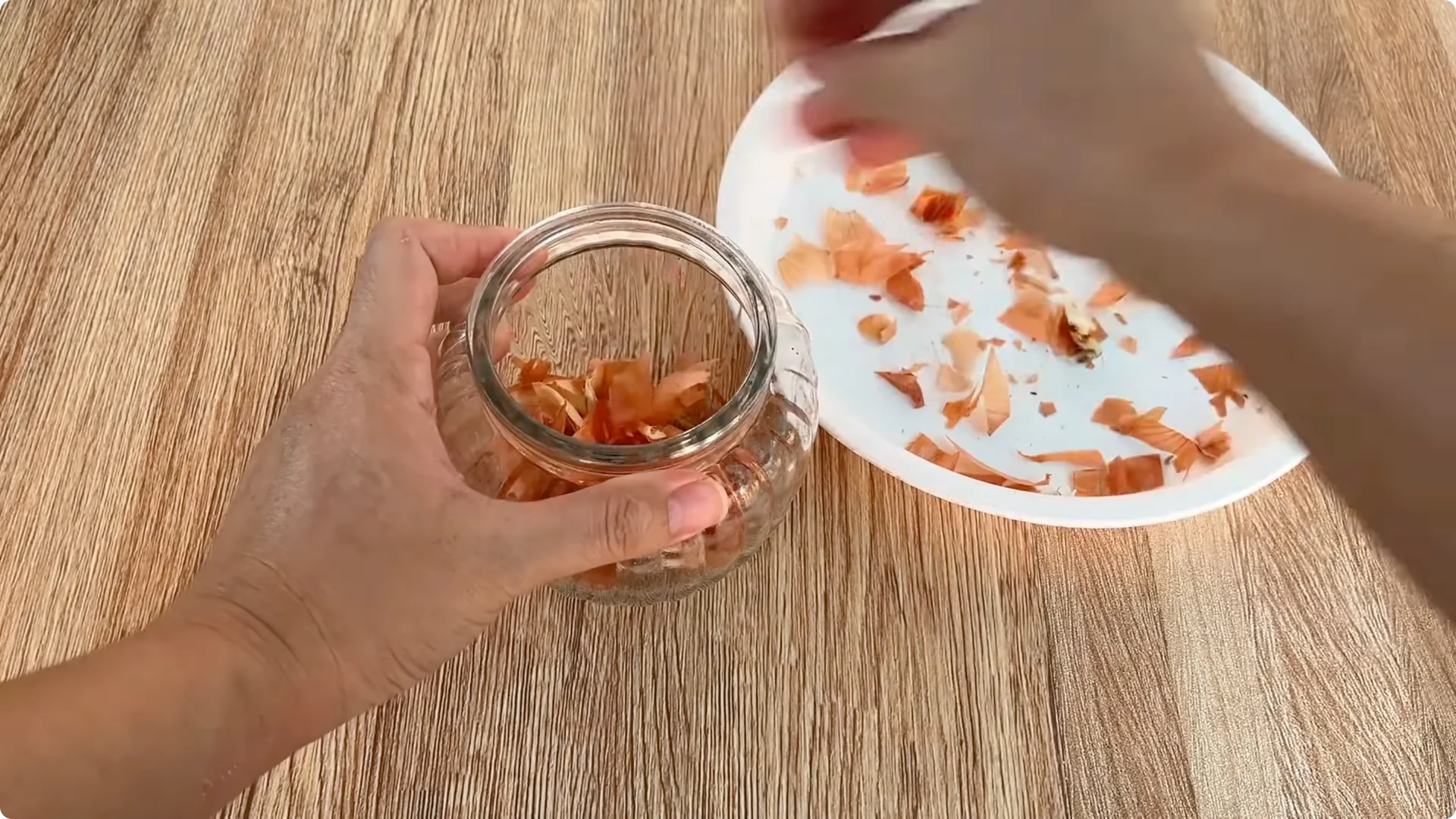Discover the Little-Known Method to Propagate Roses Easily screenshot 2