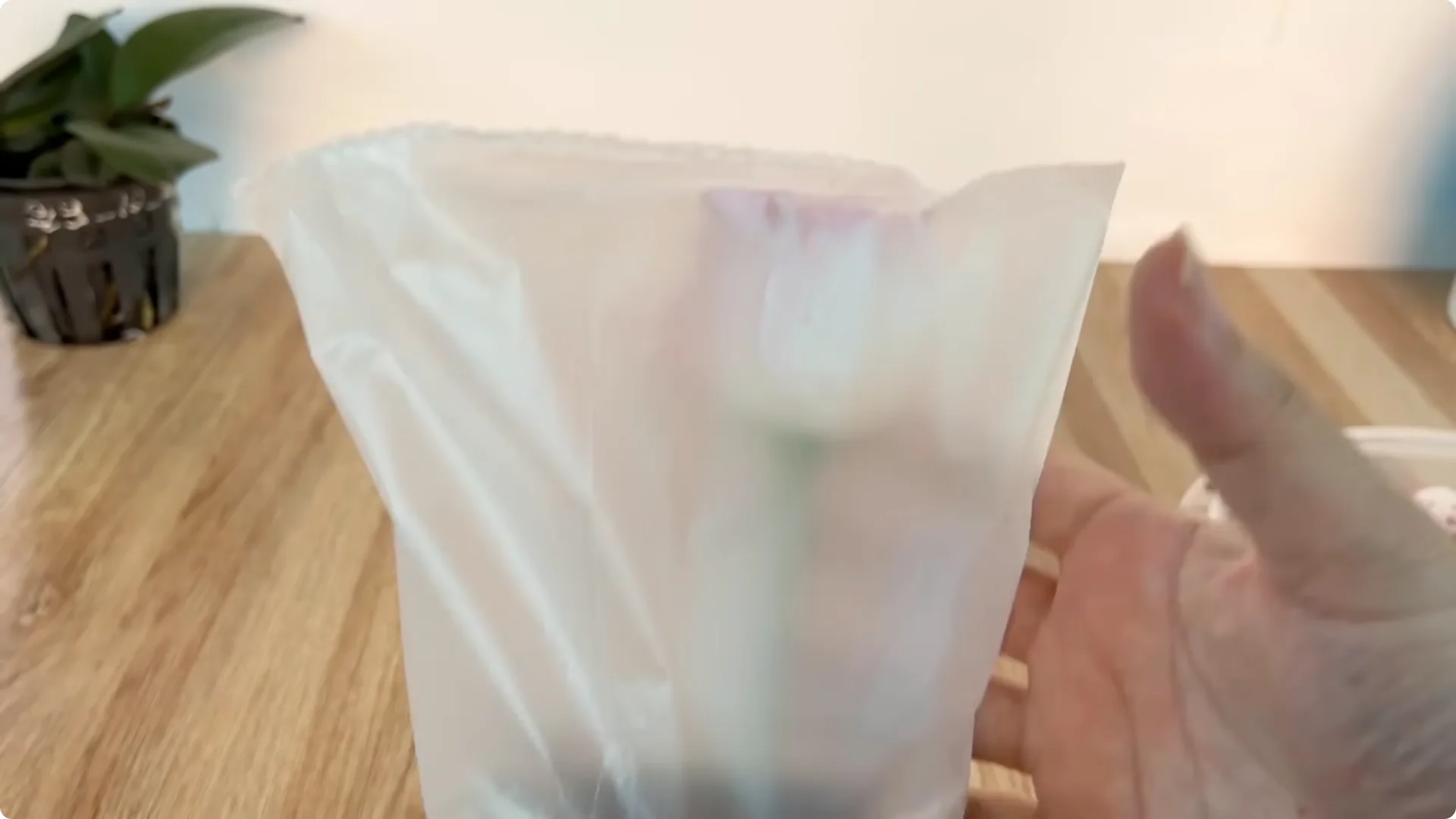 Discover the Surprising Method to Propagate Roses Easily screenshot 11