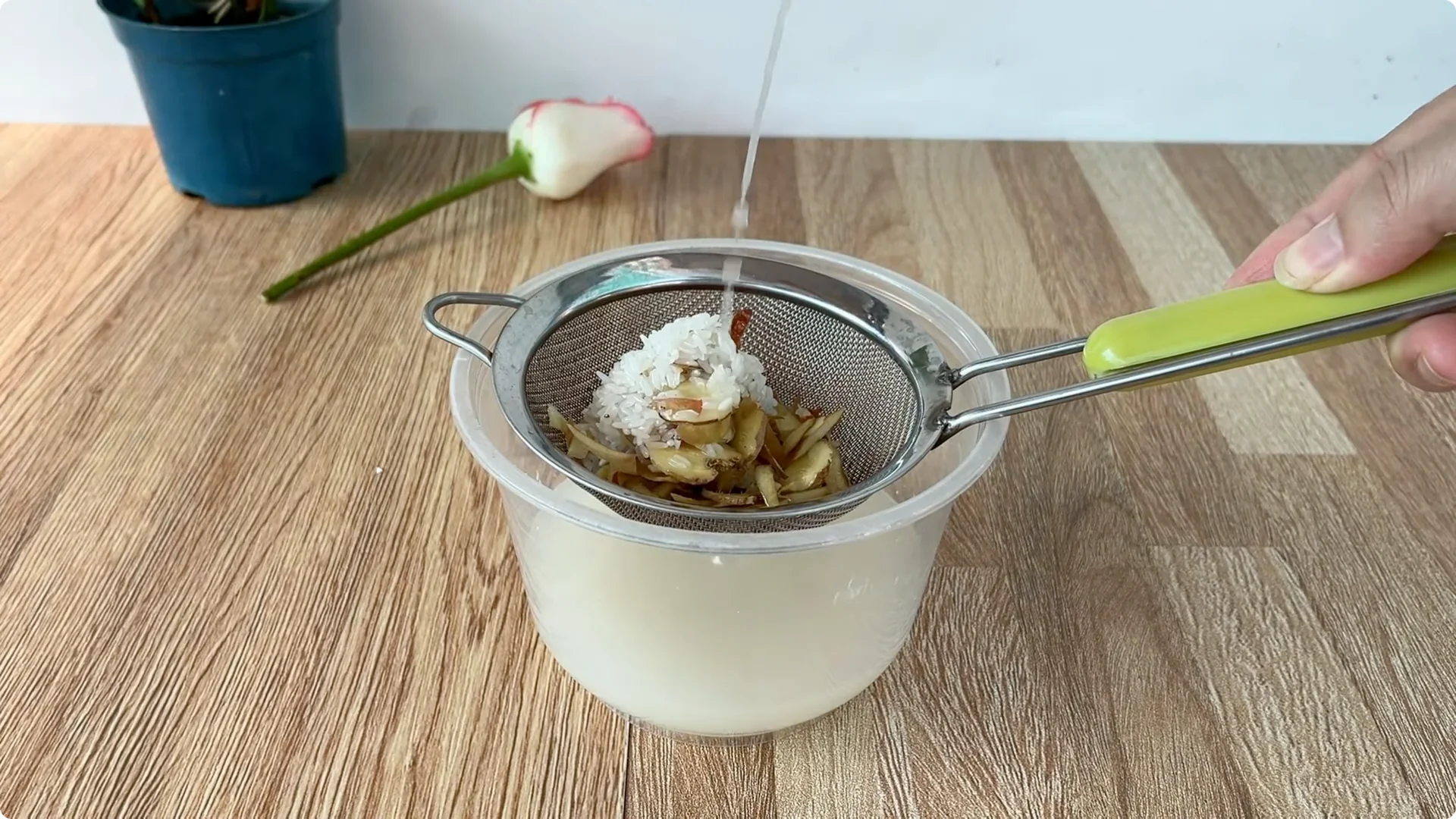 How One Cup Can Grow a Rose Plant with Many Roots and Shoots screenshot 12