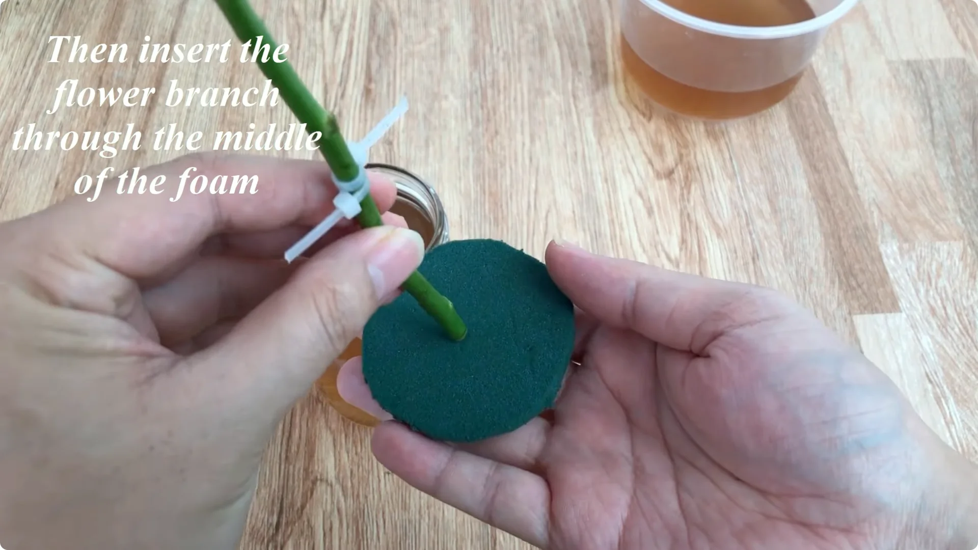 How One Simple Cup Sparks 1001 Roots and Year-Round Roses screenshot 7
