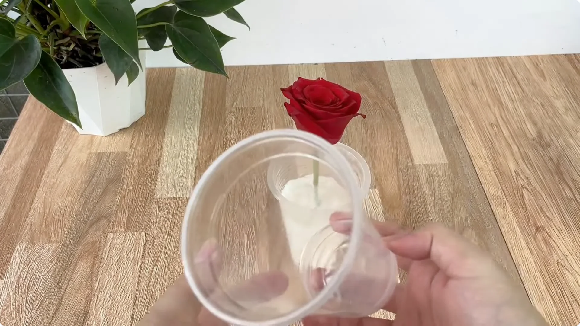 How One Slice of Bread Can Boost Rose Branch Growth Dramatically screenshot 13