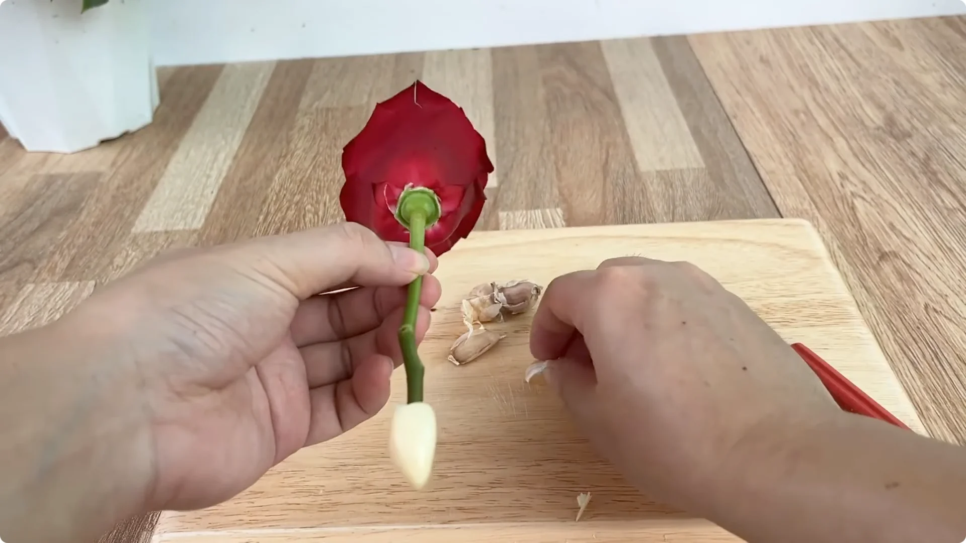 How One Slice of Bread Can Boost Rose Branch Growth Dramatically screenshot 5