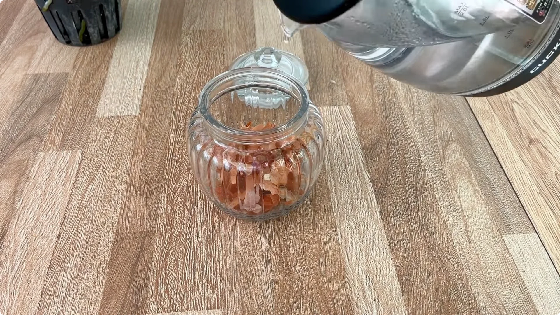 How Onions Unlock a Faster Way to Propagate Roses screenshot 3