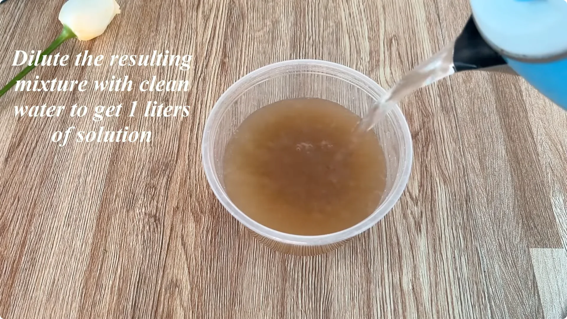 How to Propagate Roses with Coca: A Simple, Effective Method screenshot 8