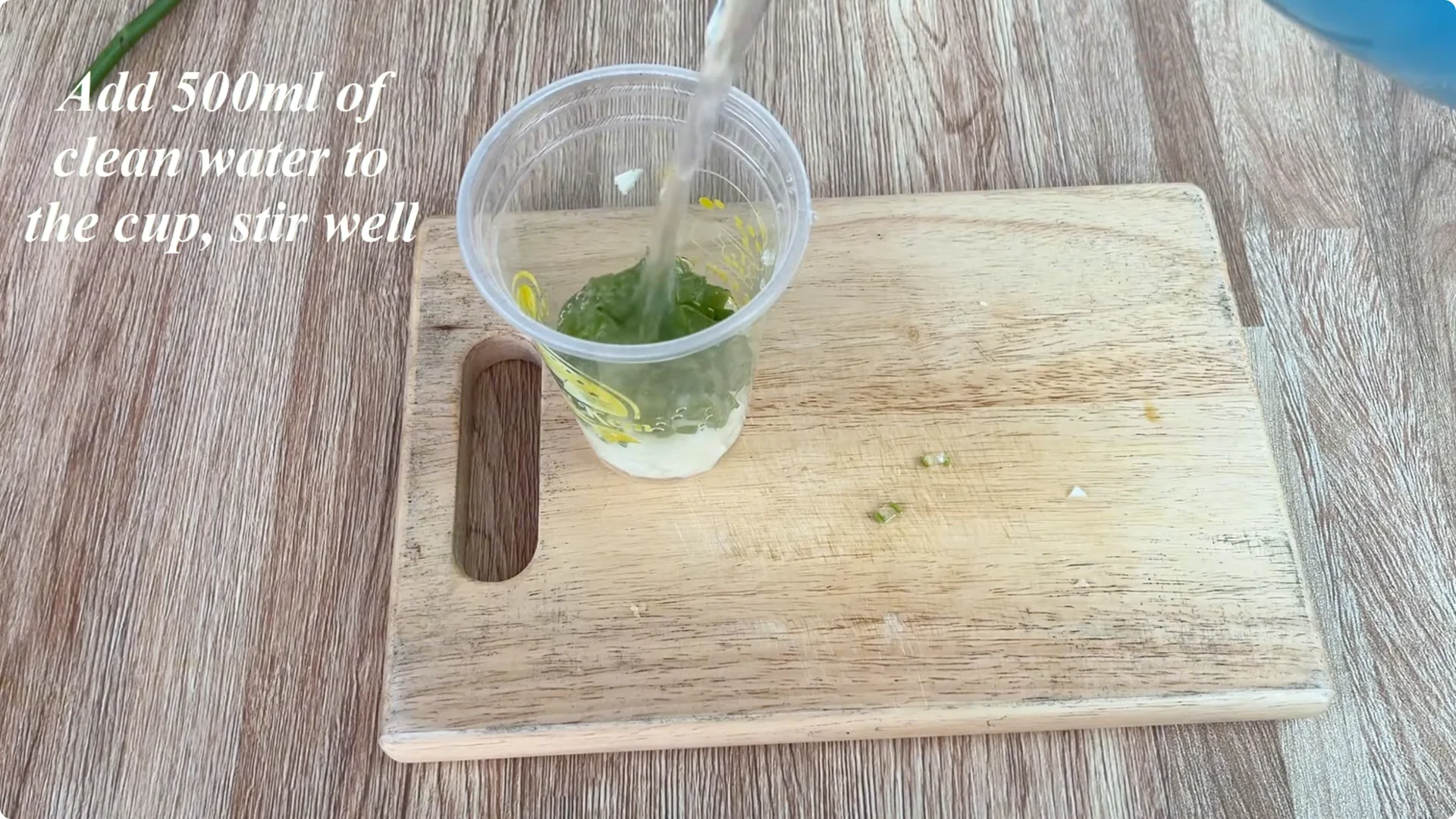The Surprising Simple Method to Propagate Roses Easily screenshot 3