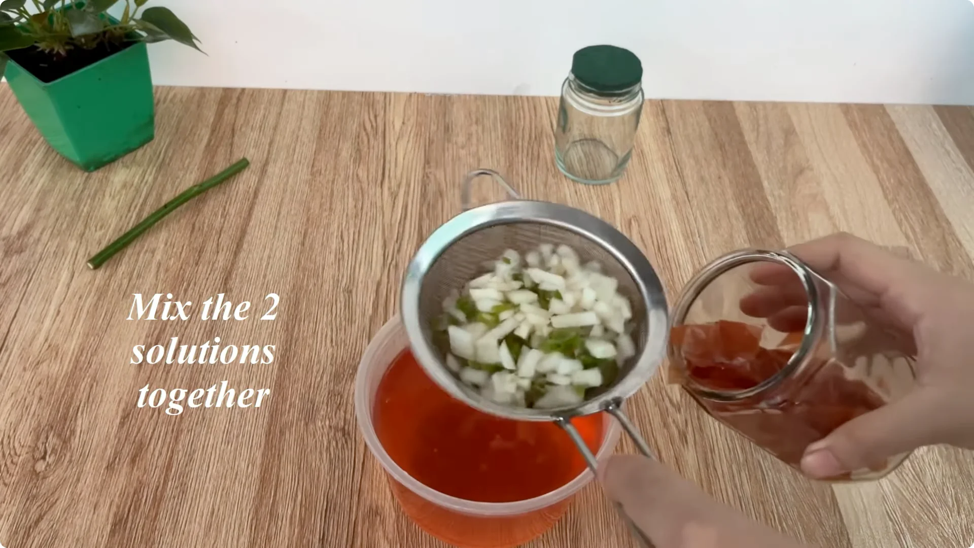 The Surprising Simple Method to Propagate Roses Easily screenshot 5