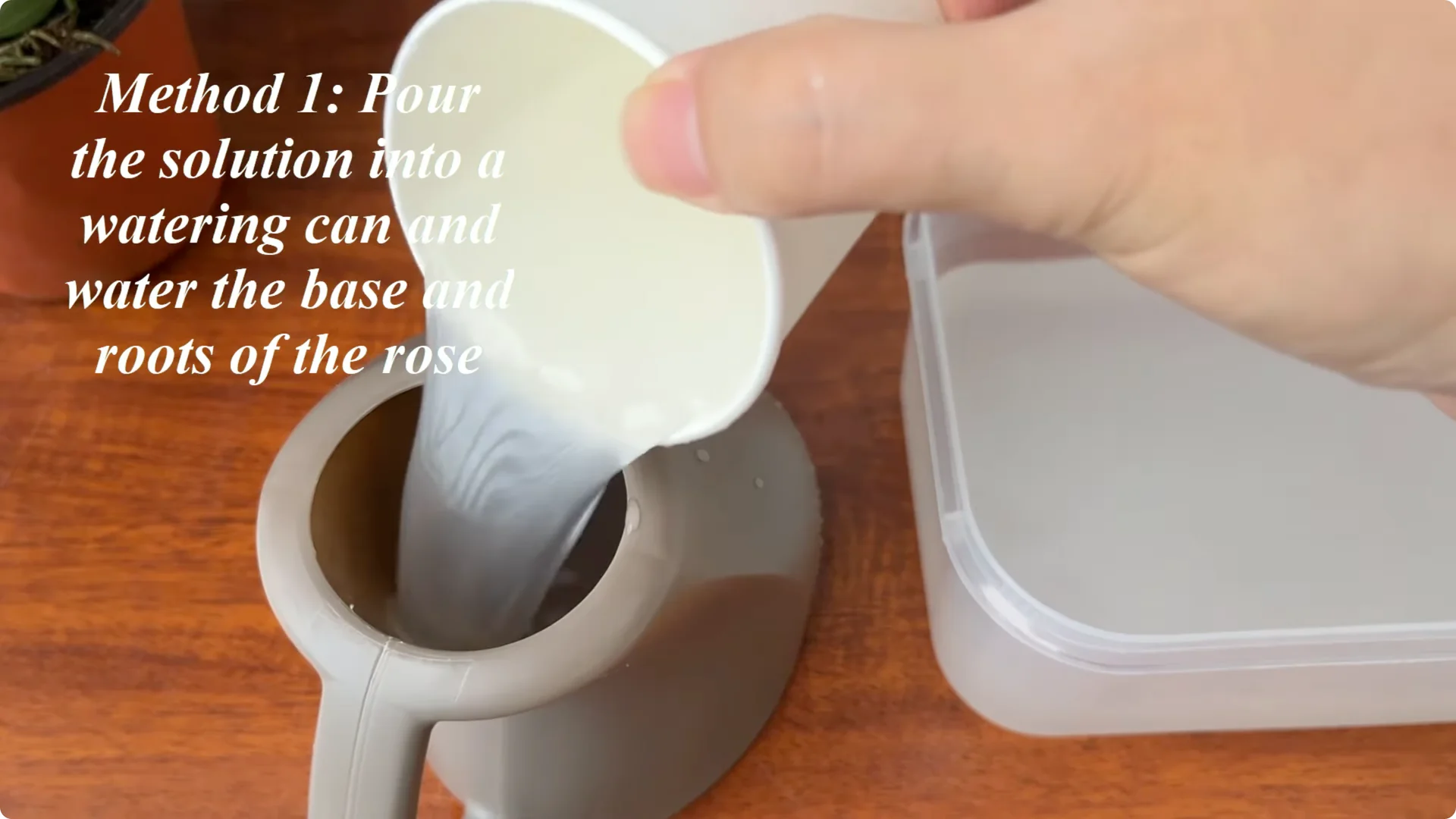 What Happens When You Pour 1 Cup on Rose Root? screenshot 10