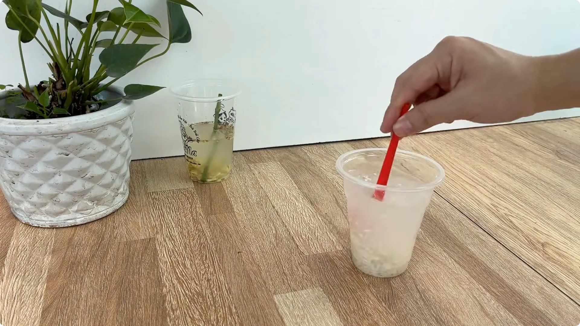 Discover This Little-Known Simple Method for Rose Propagation screenshot 4