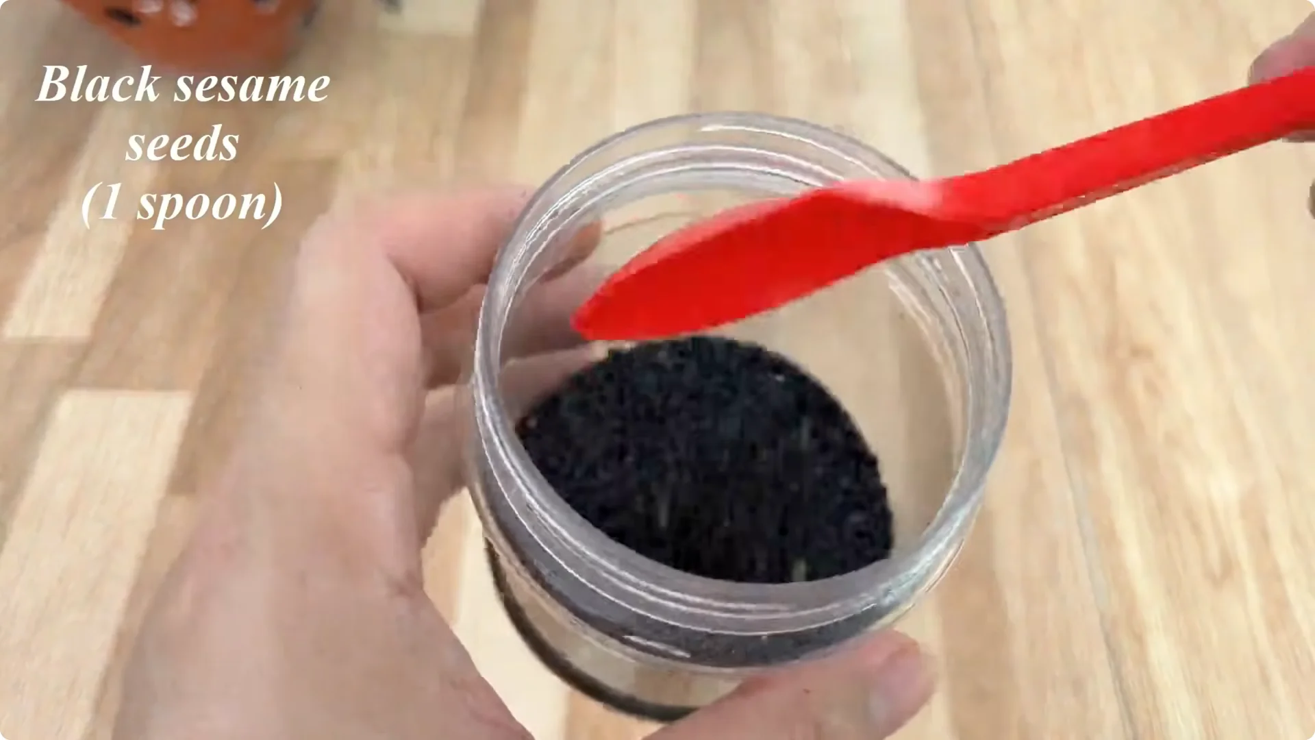 Discover This Little-Known Simple Method for Rose Propagation screenshot 7