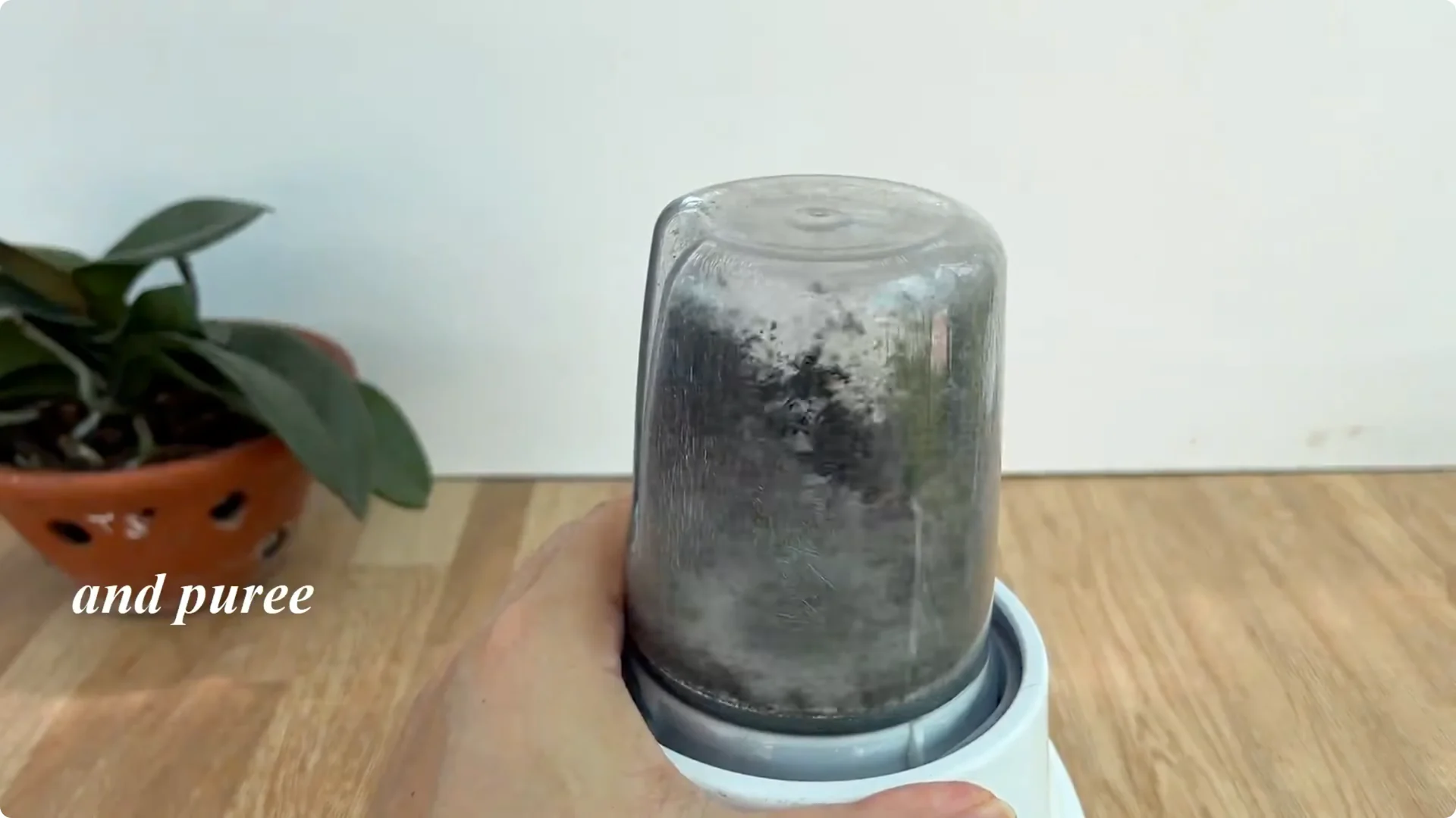 Discover This Little-Known Simple Method for Rose Propagation screenshot 8