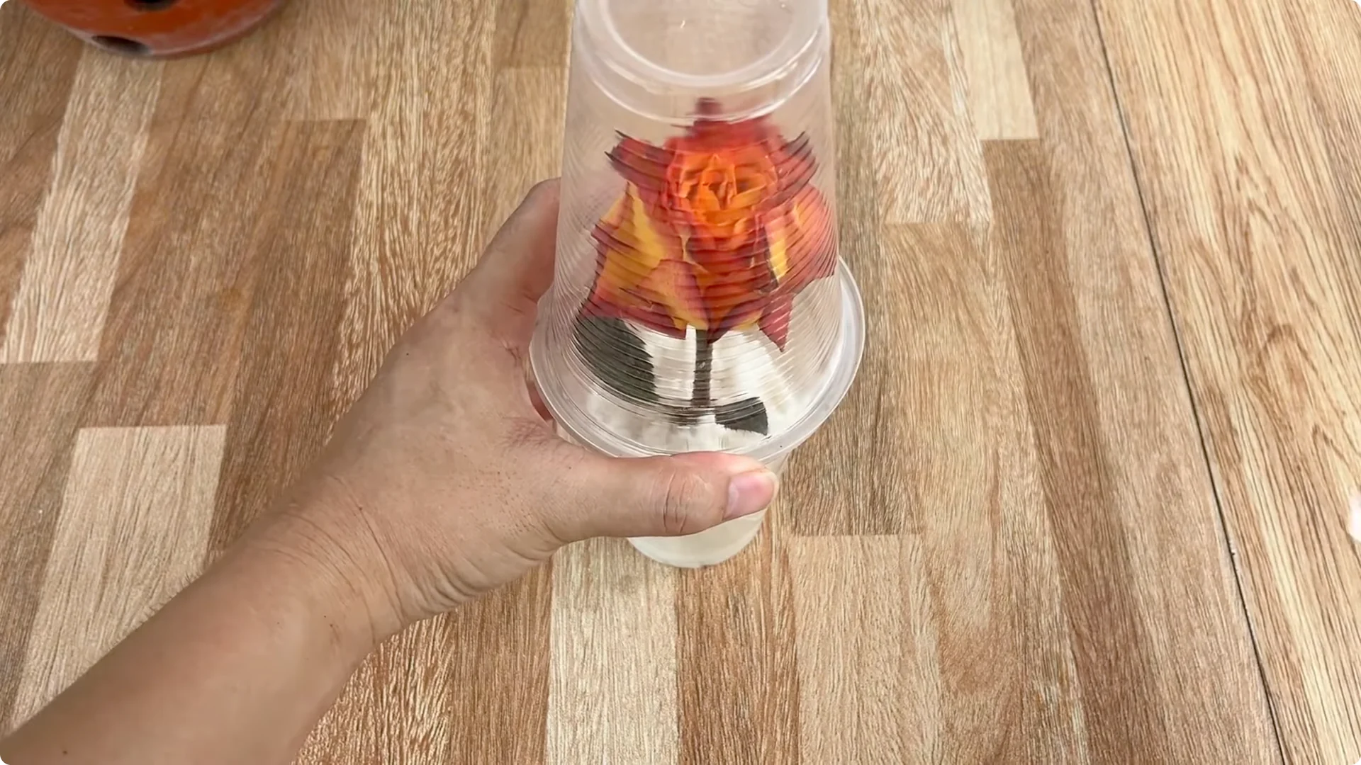 How One Cup Helped This Rose Branch Bloom Abundantly screenshot 9