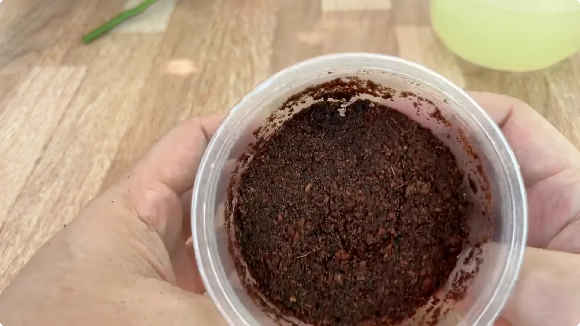 How One Spoon Helped a Rose Branch Root and Bloom Continuously screenshot 16