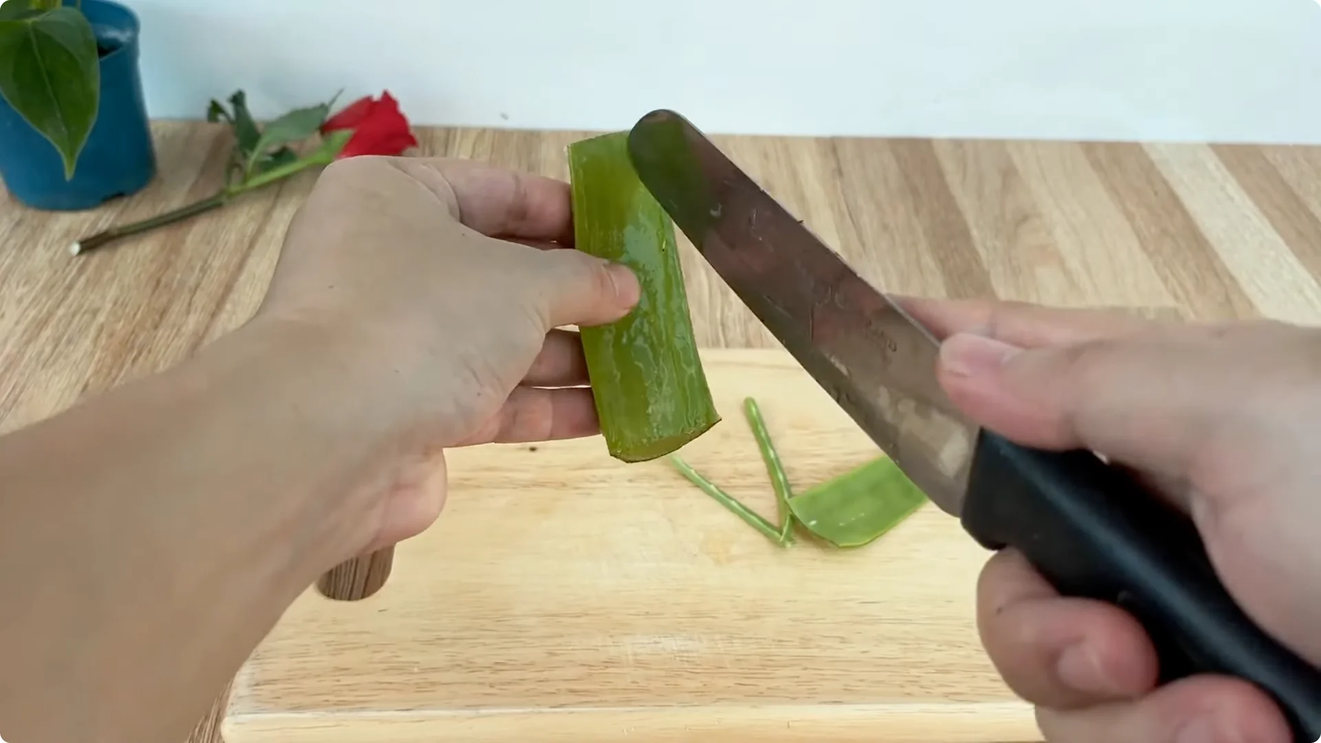How One Spoonful of Rice Sparks Rose Branch Growth screenshot 2