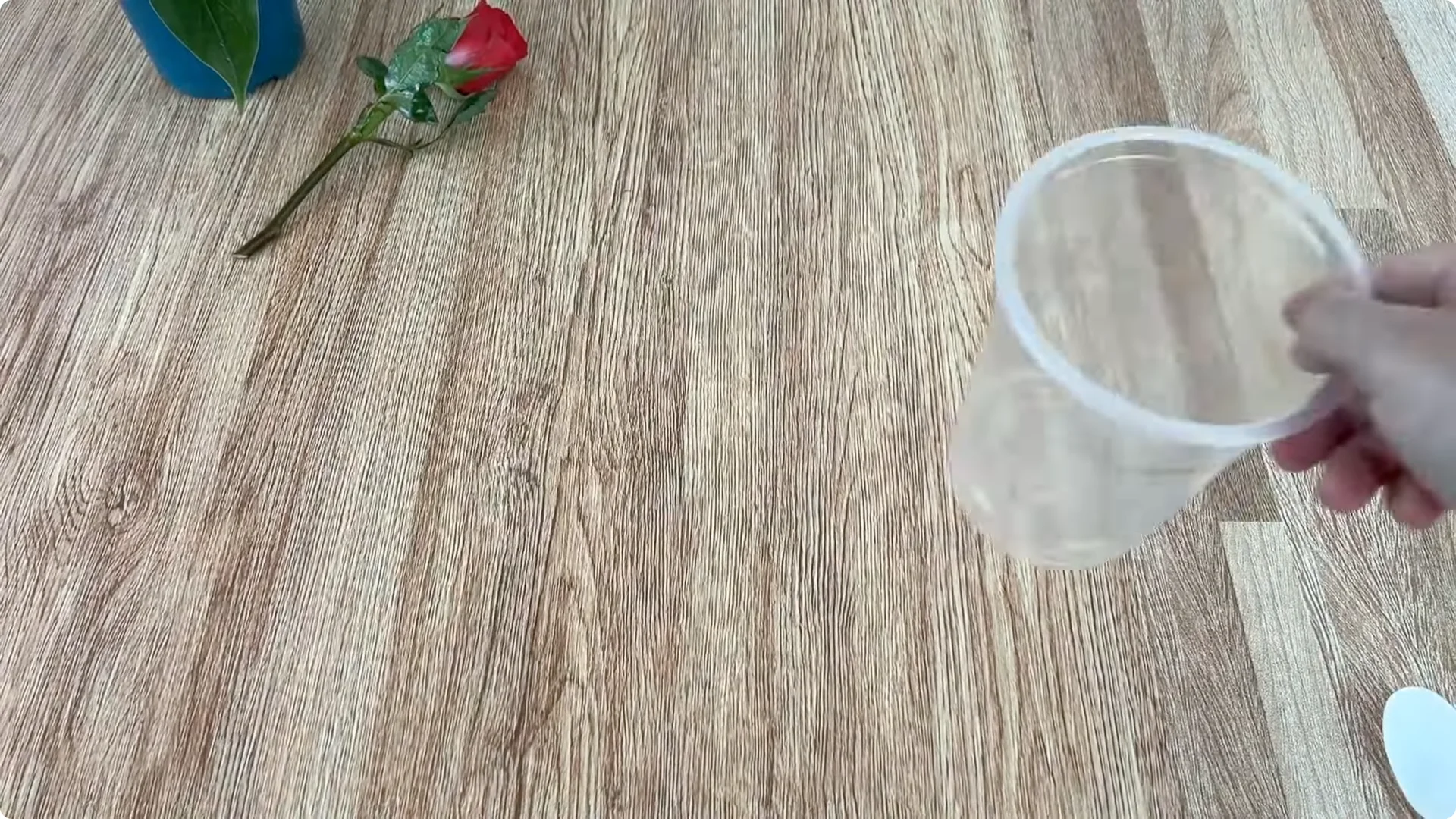 How One Spoonful of Rice Sparks Rose Branch Growth screenshot 4