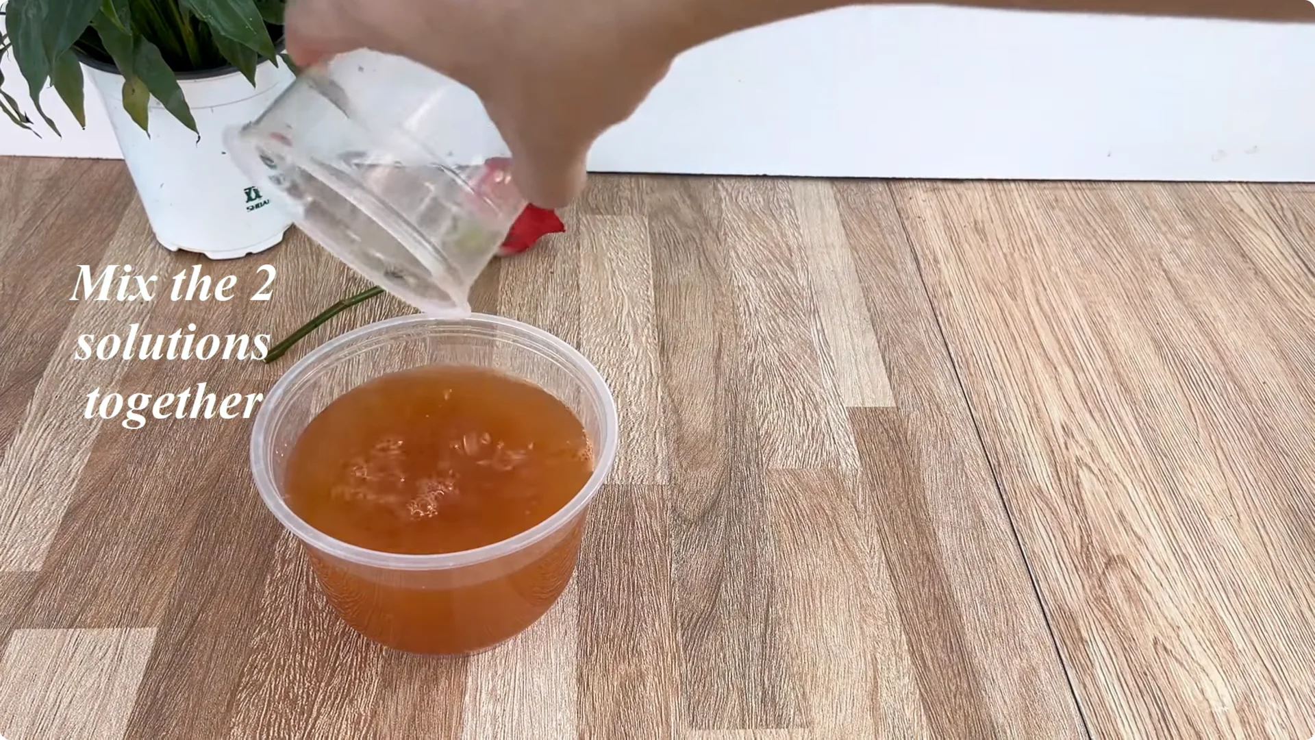 The Secret to Propagating Any Type of Rose Successfully screenshot 11