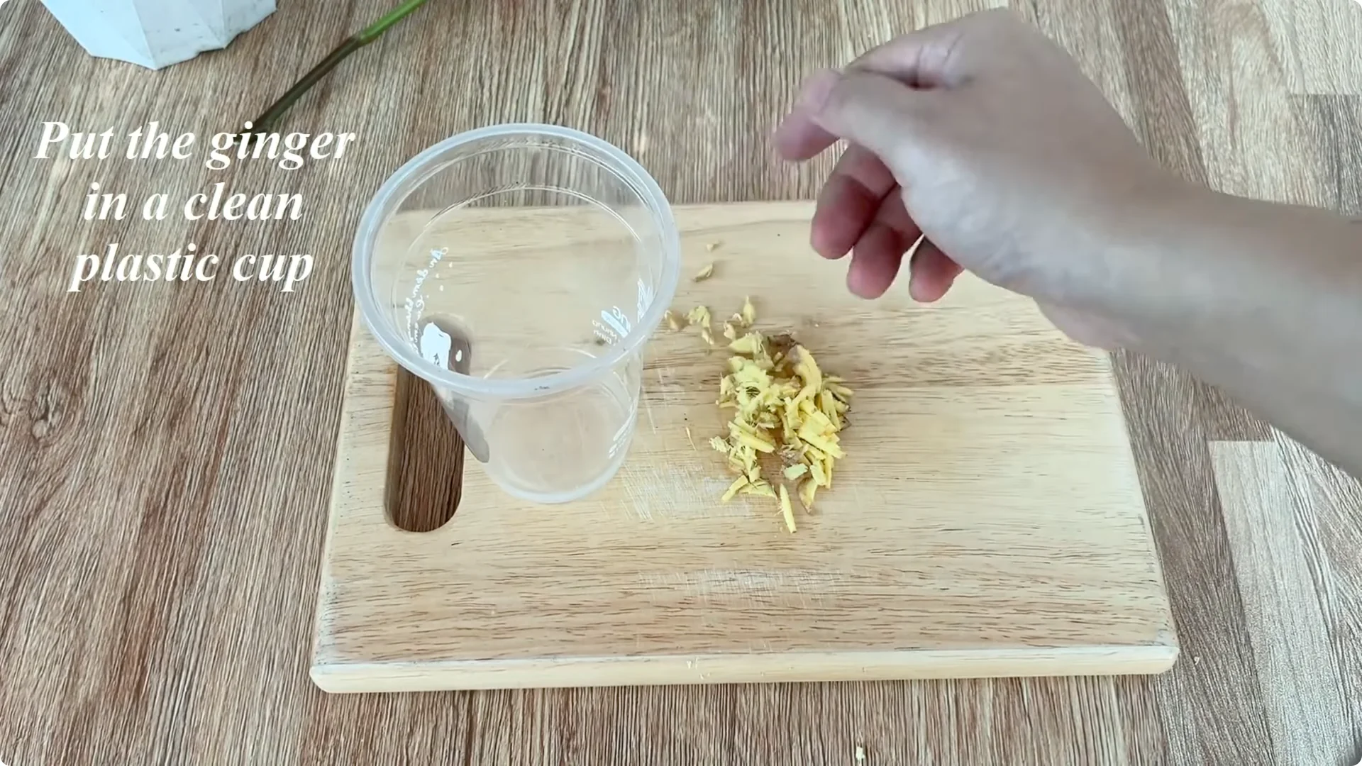 The Simple Method That Surprised Me for Propagating Roses screenshot 3
