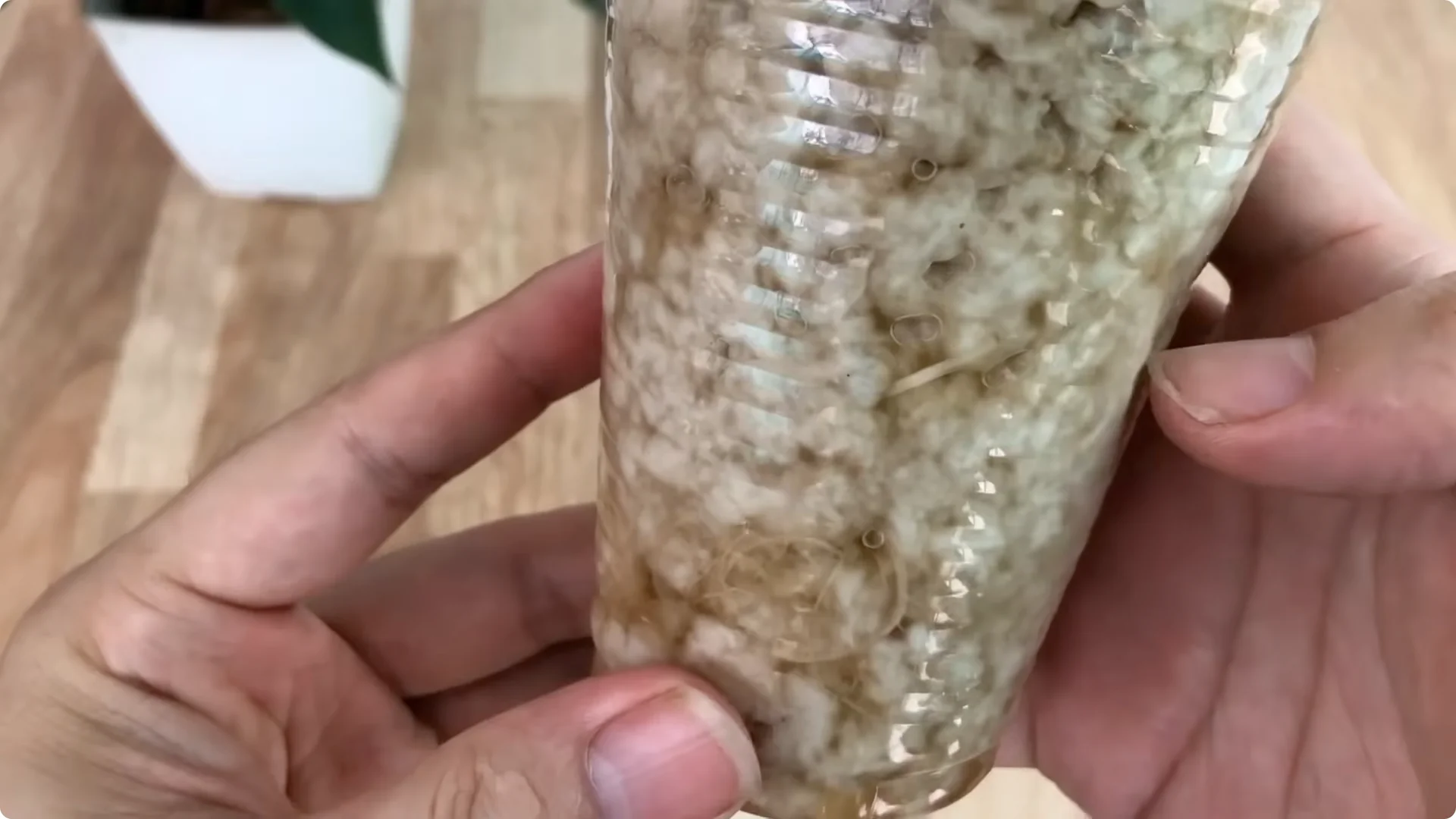 Discover the Surprising Method to Propagate Roses Easily screenshot 10