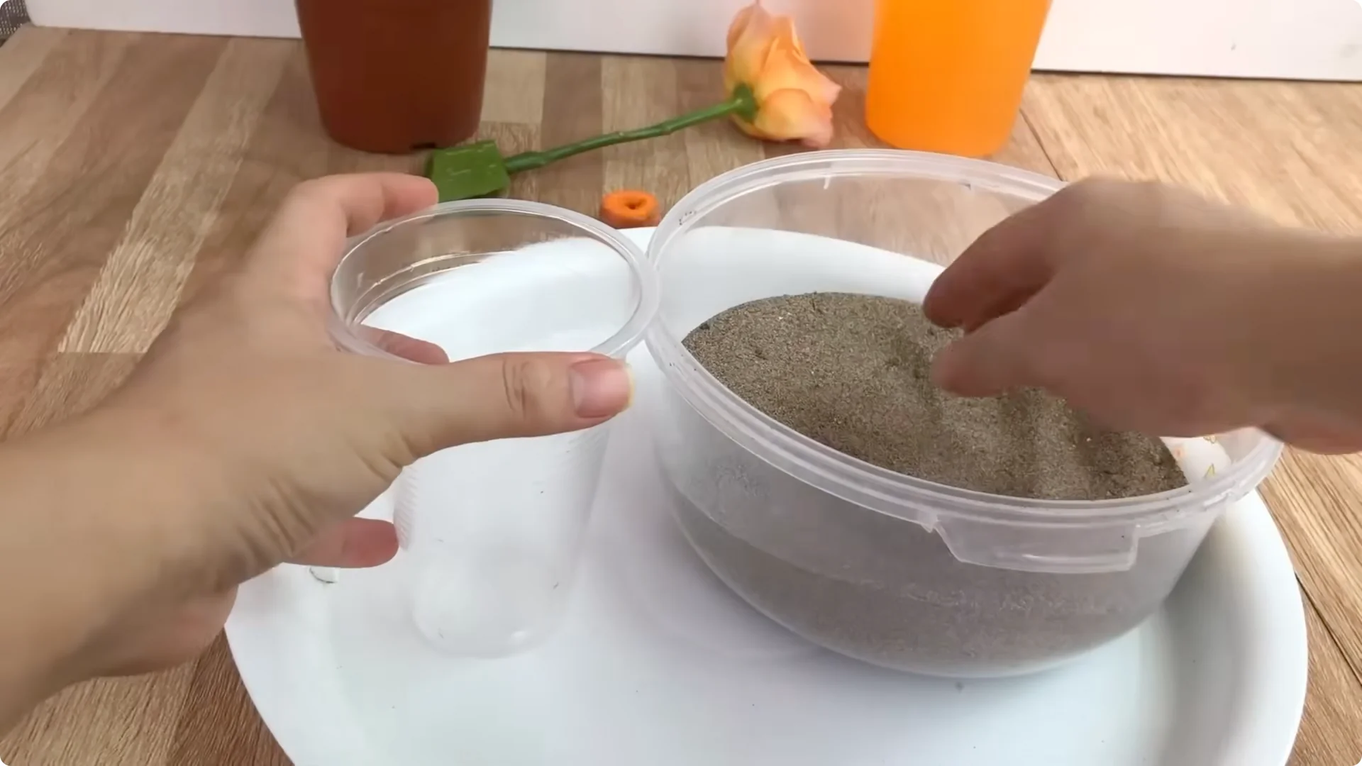 Discover the Surprising Method to Propagate Roses Easily screenshot 17