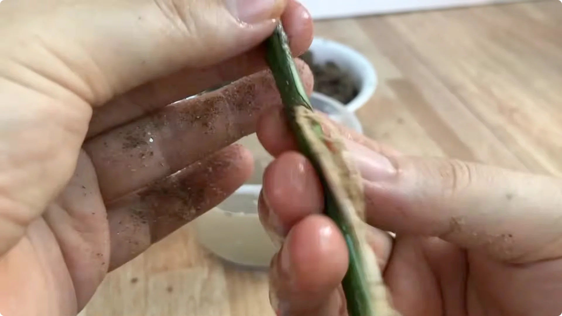 Discover the Surprising Method to Propagate Roses Easily screenshot 20