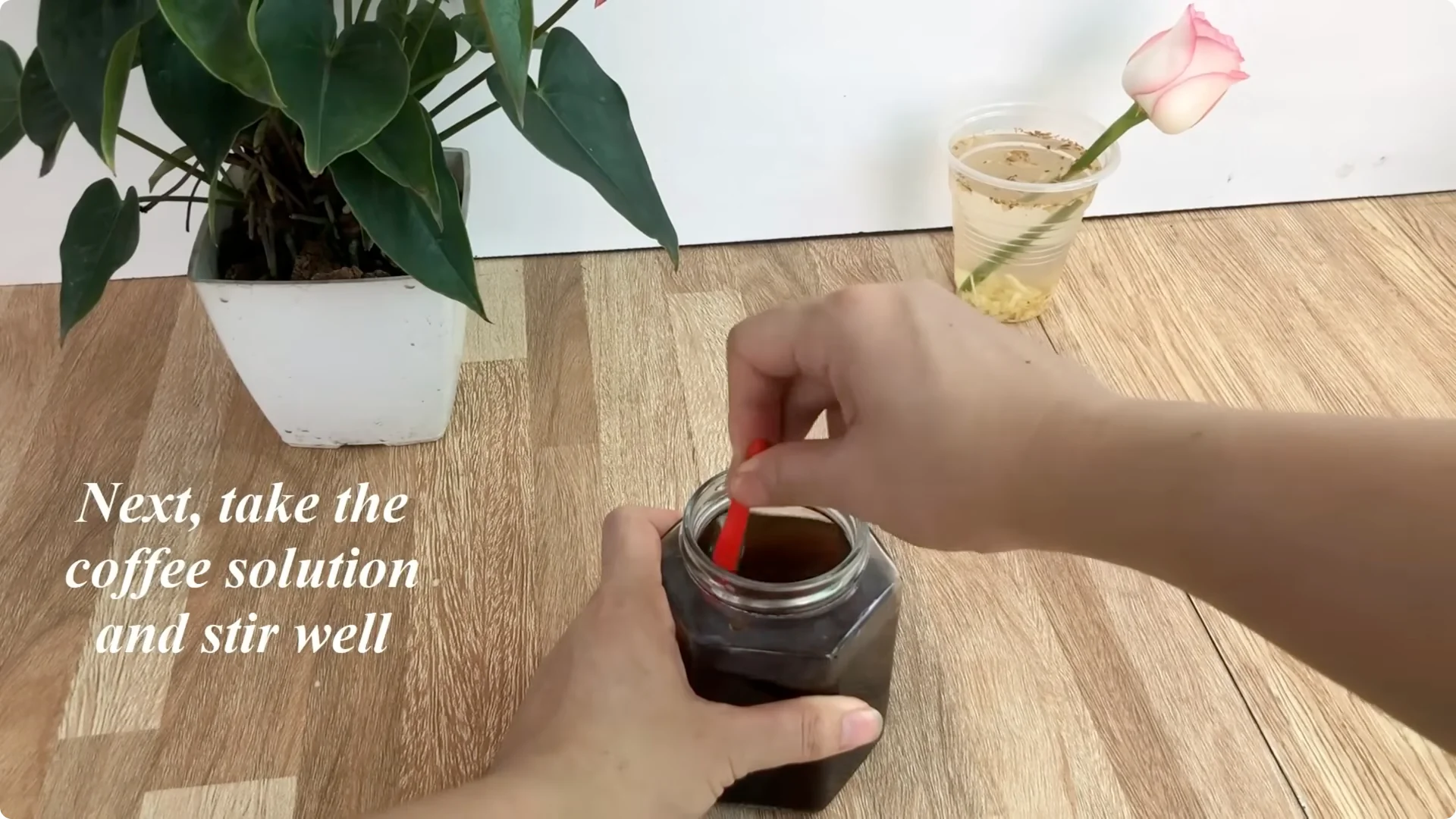 Discover the Surprising Method to Propagate Roses Easily screenshot 5