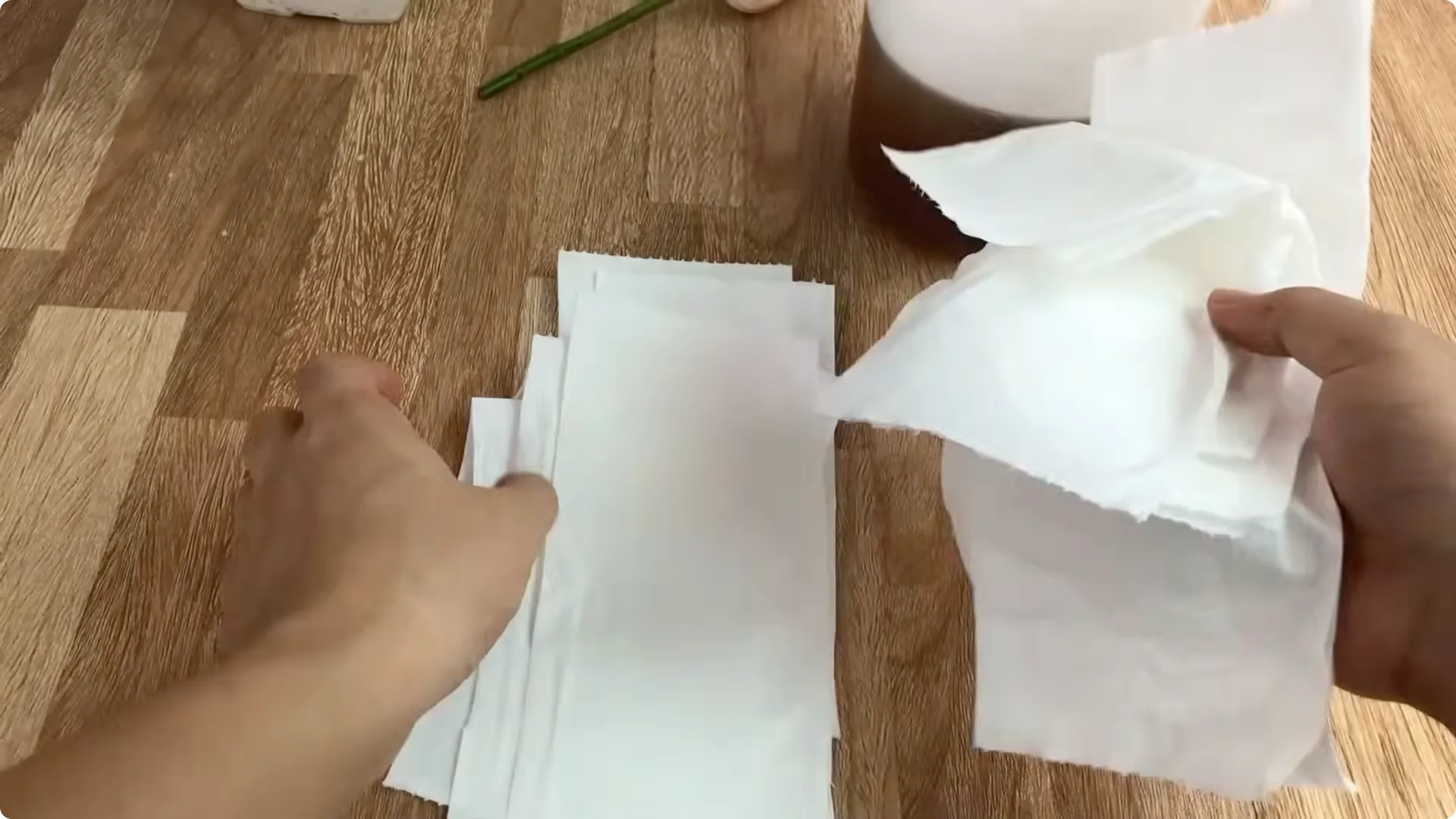 Discover the Surprising Method to Propagate Roses Easily screenshot 6