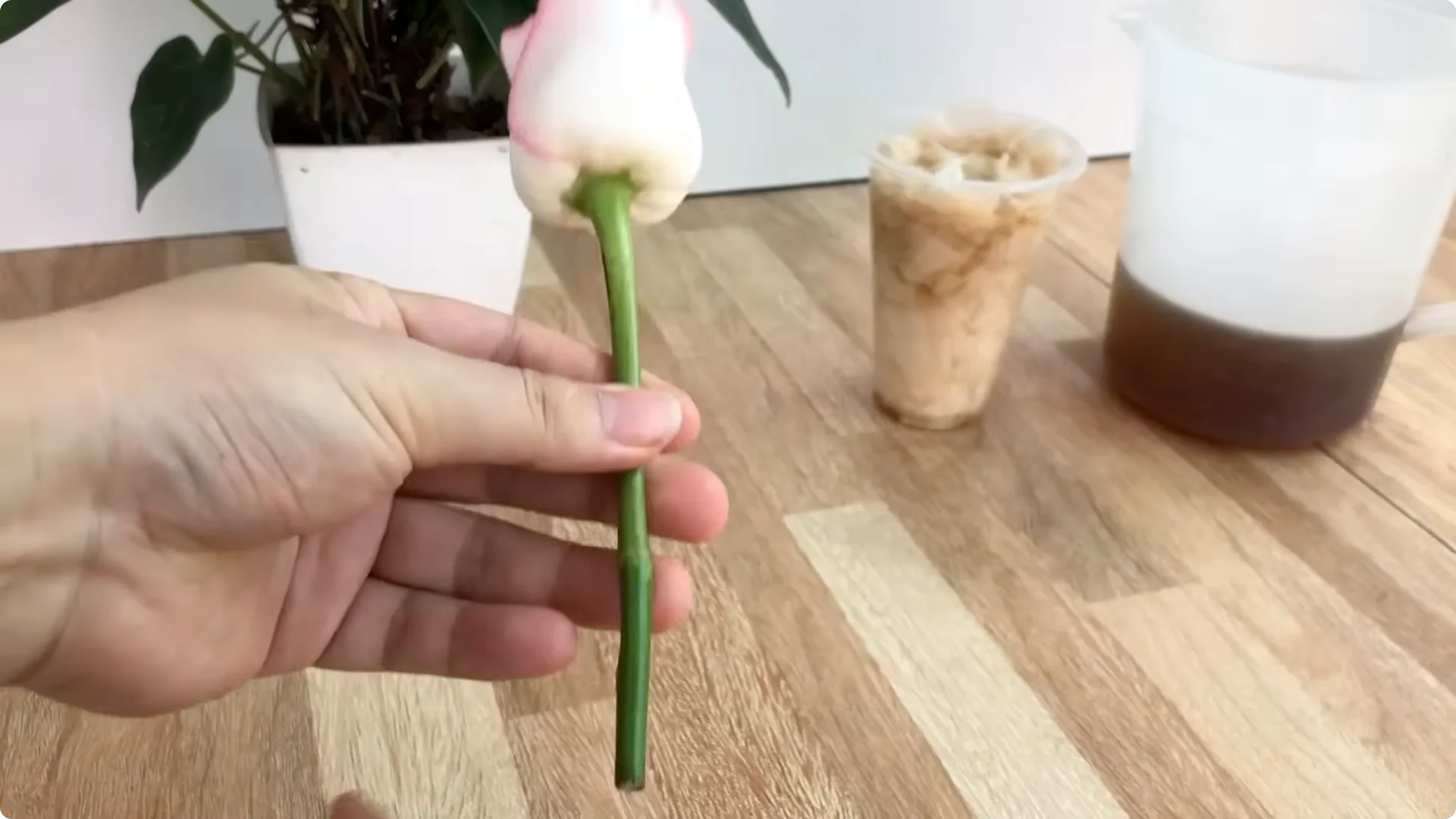 Discover the Surprising Method to Propagate Roses Easily screenshot 7