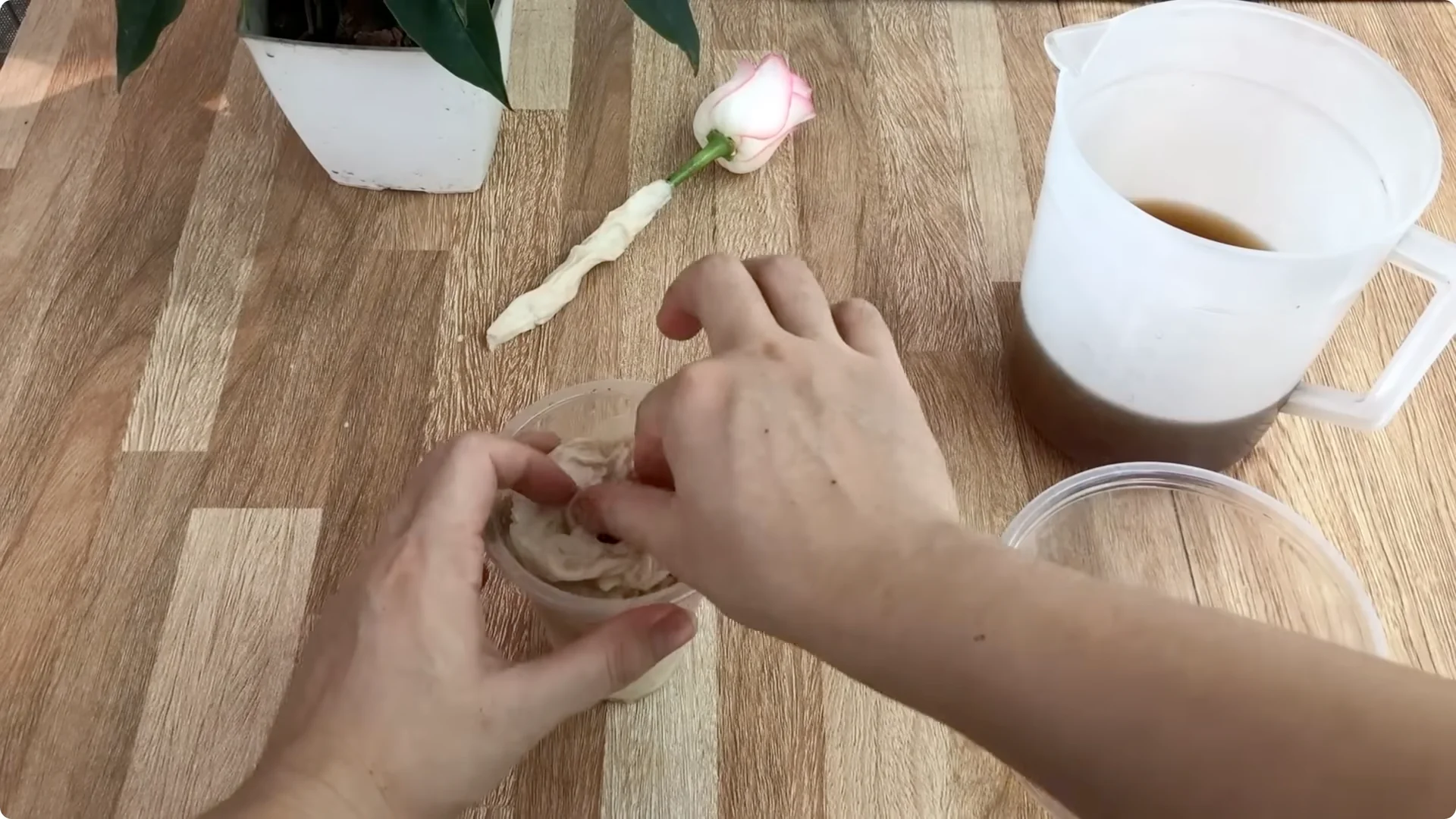 Discover the Surprising Method to Propagate Roses Easily screenshot 8