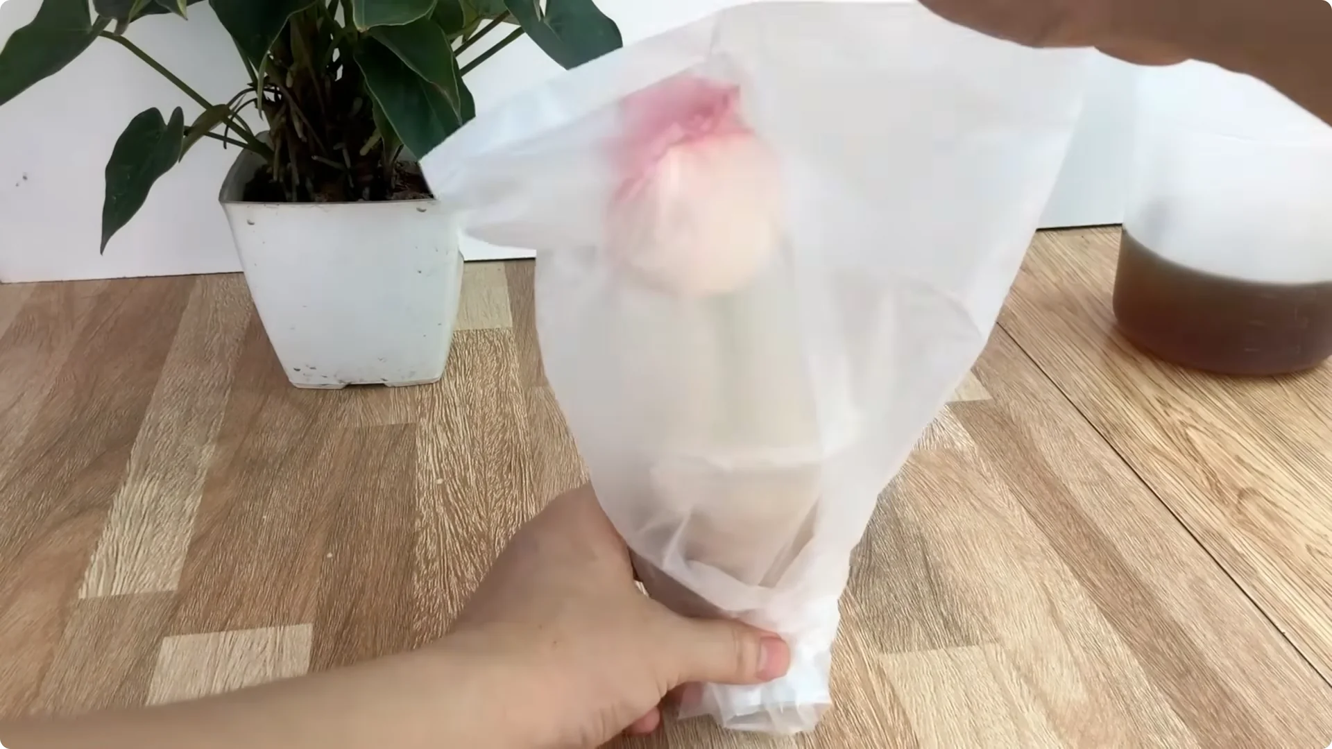 Discover the Surprising Method to Propagate Roses Easily screenshot 9