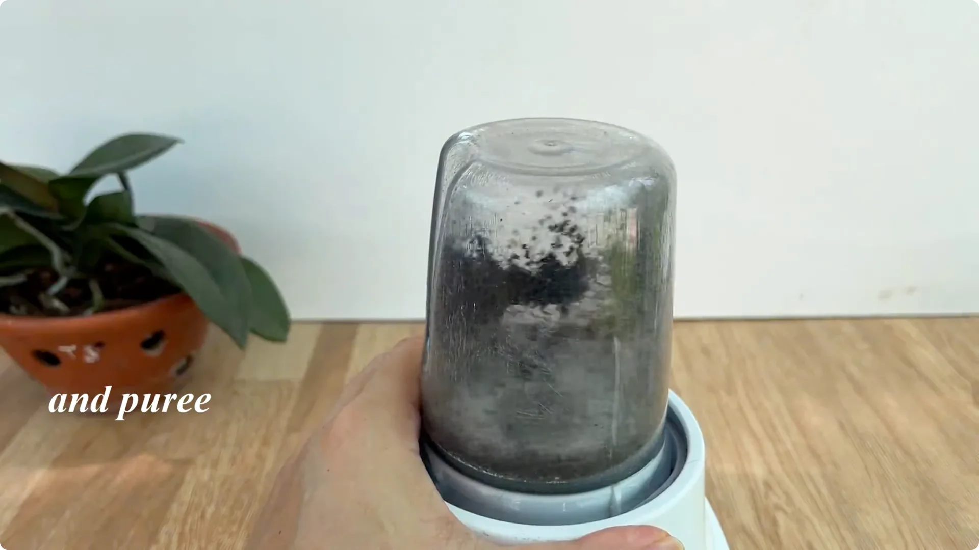 How 1 Cup Can Grow a Rose Plant Full of Roots and Blooms screenshot 1