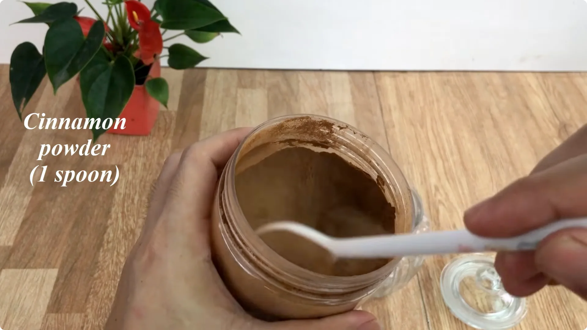 How Anyone Can Easily Propagate Roses at Home screenshot 1