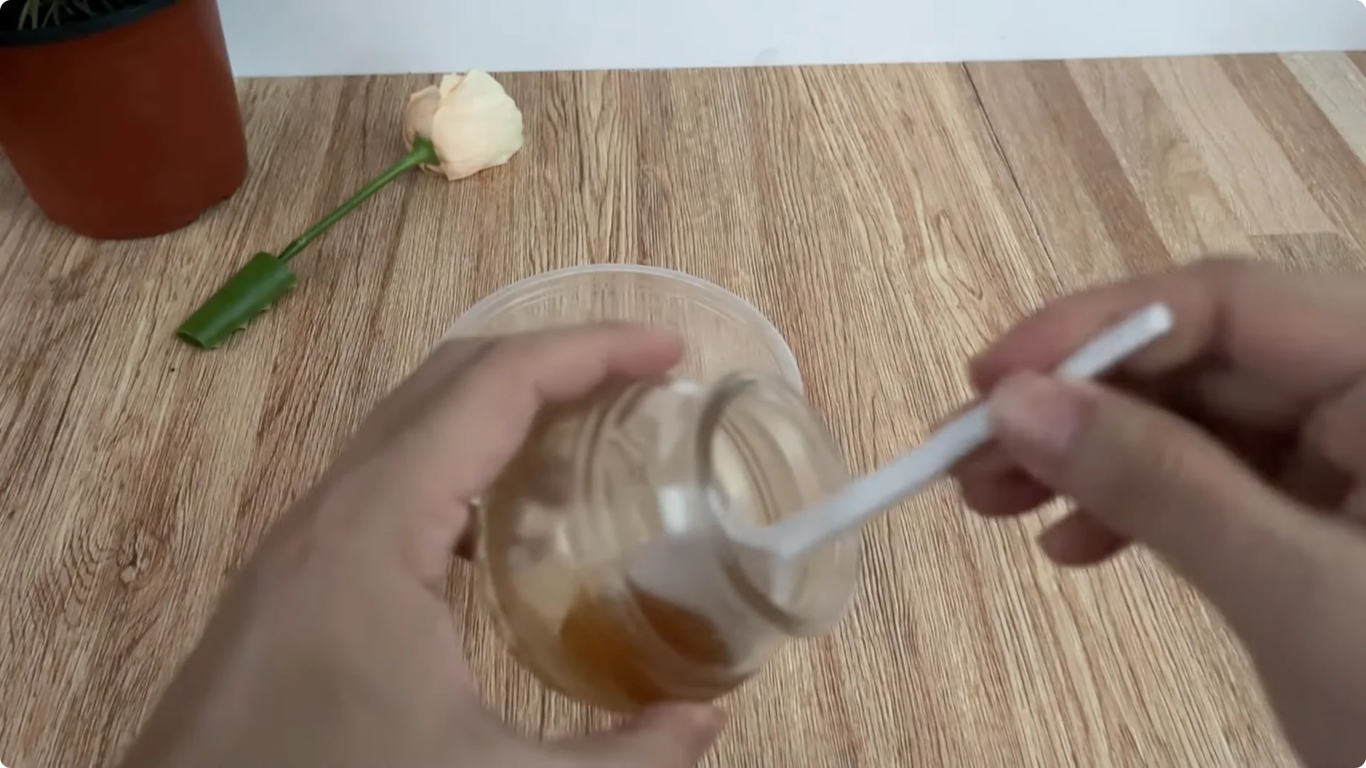 How Anyone Can Easily Propagate Roses at Home screenshot 10