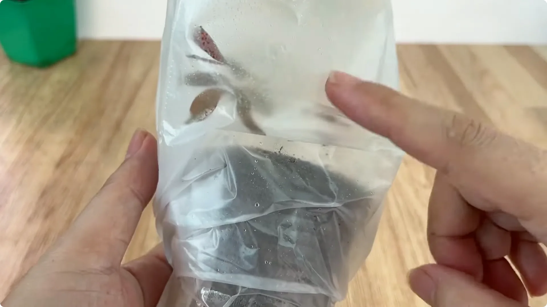 How Anyone Can Easily Propagate Roses at Home screenshot 16