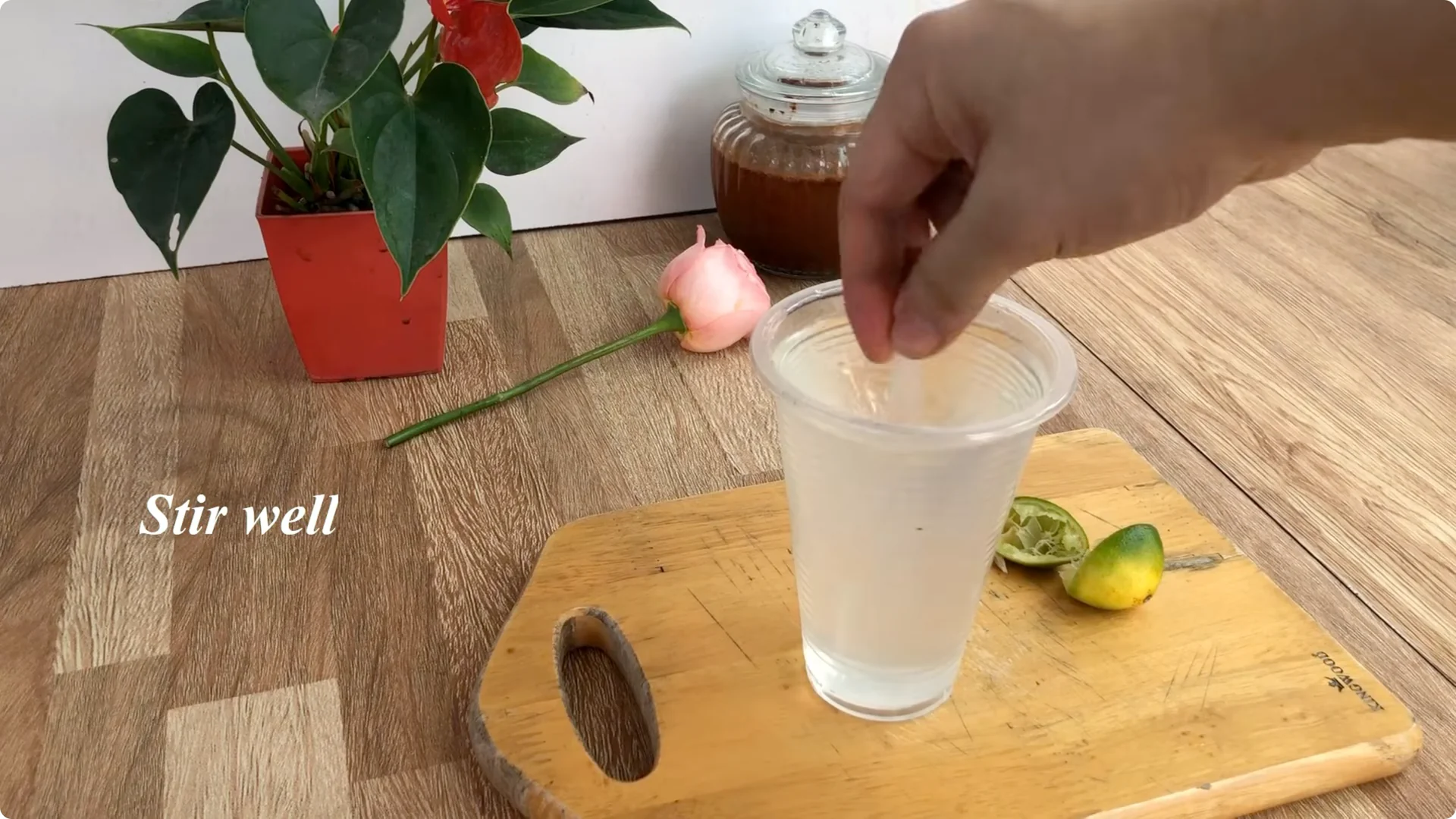 How Anyone Can Easily Propagate Roses at Home screenshot 3